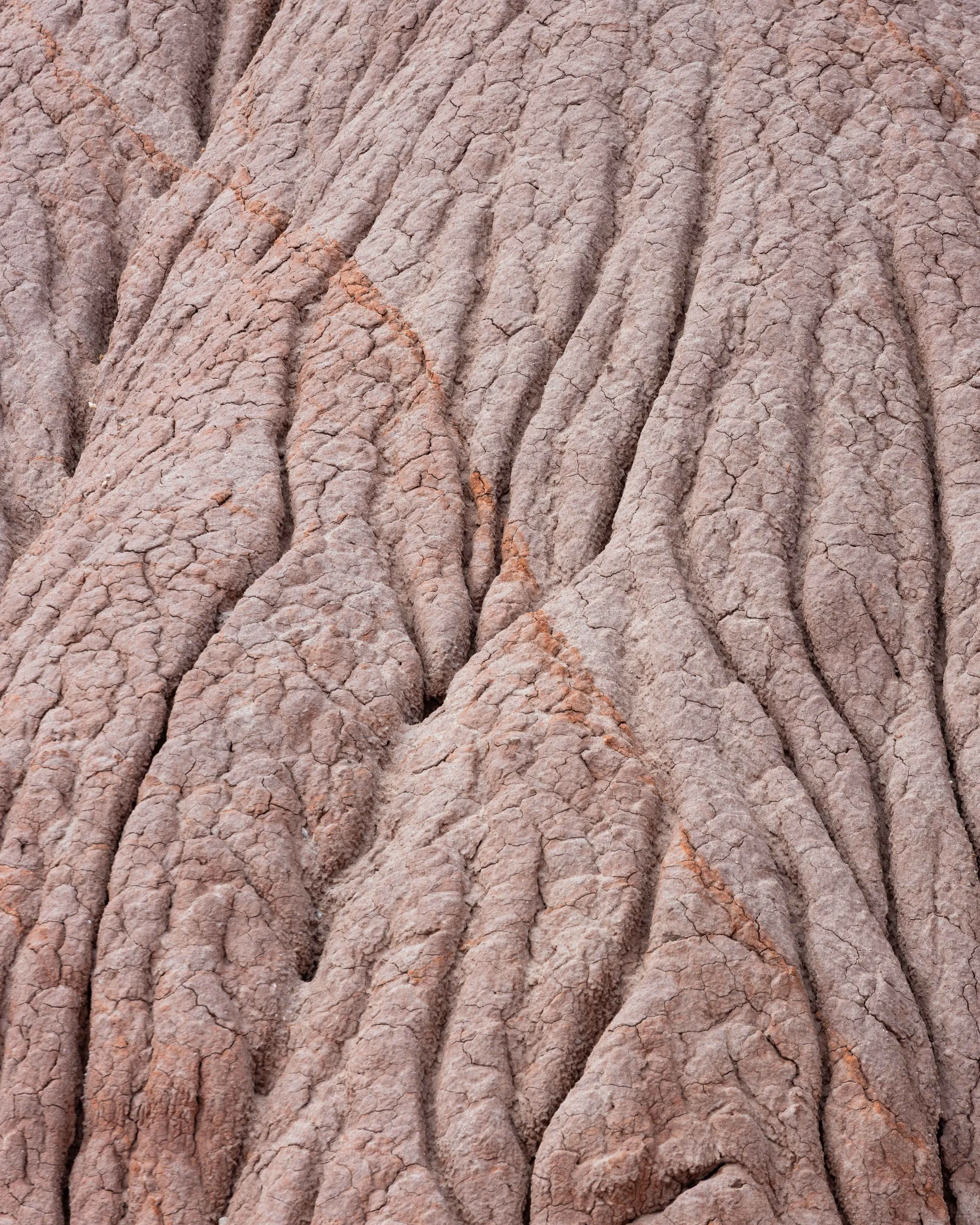 Fotografía abstracta de tierra erosionada, con grietas naturales, relieves suaves y tonos terrosos que recuerdan paisajes áridos y formaciones geológicas.