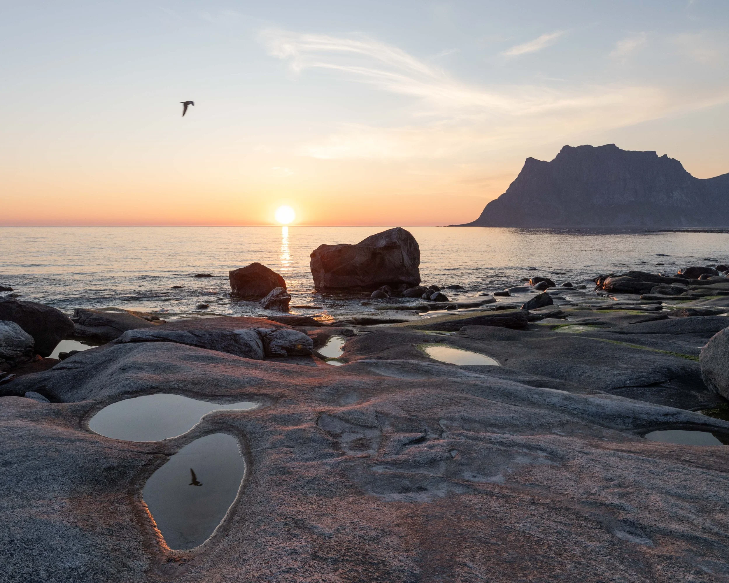 Fotografía de paisaje en Uttakleiv,Lofoten, con el sol bajo sobre el mar, rocas en primer plano, una gaviota reflejada en el agua y montañas recortadas en el horizonte.