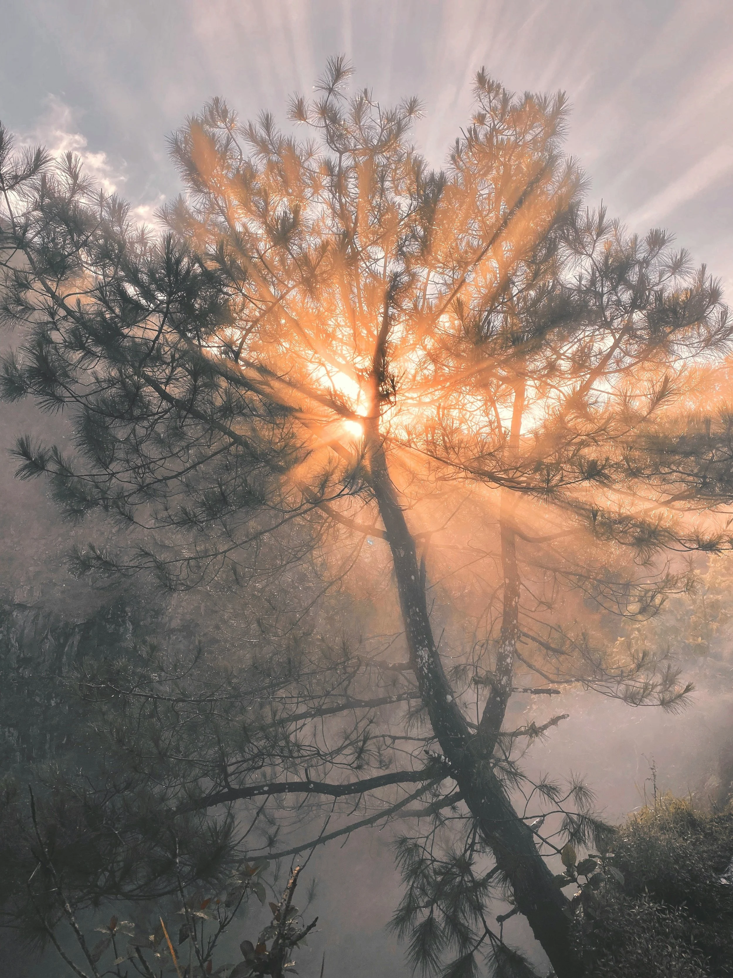 Soul Clarity Session