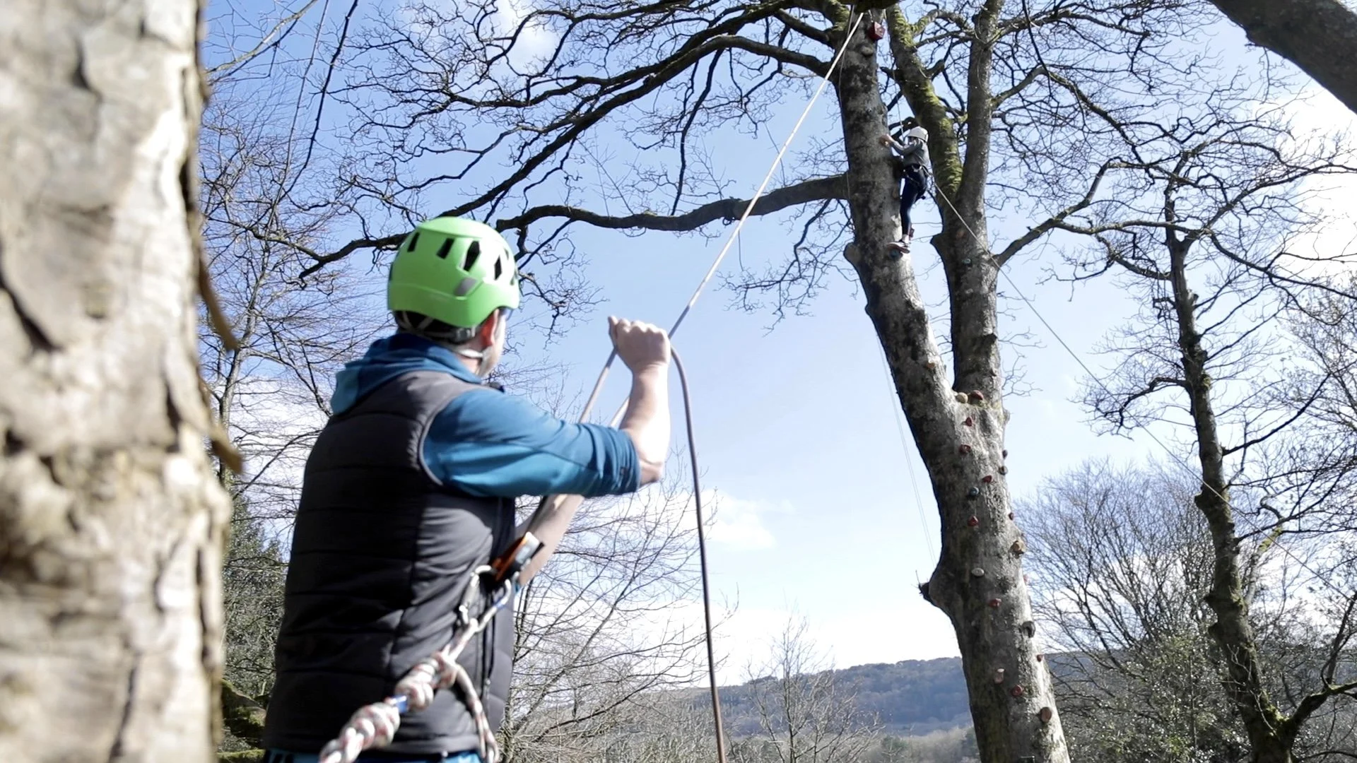 A person wearing a green helmet and climbing gear is belaying a climber on a tall, leafless tree with climbing holds, during daytime in a park or forested area.