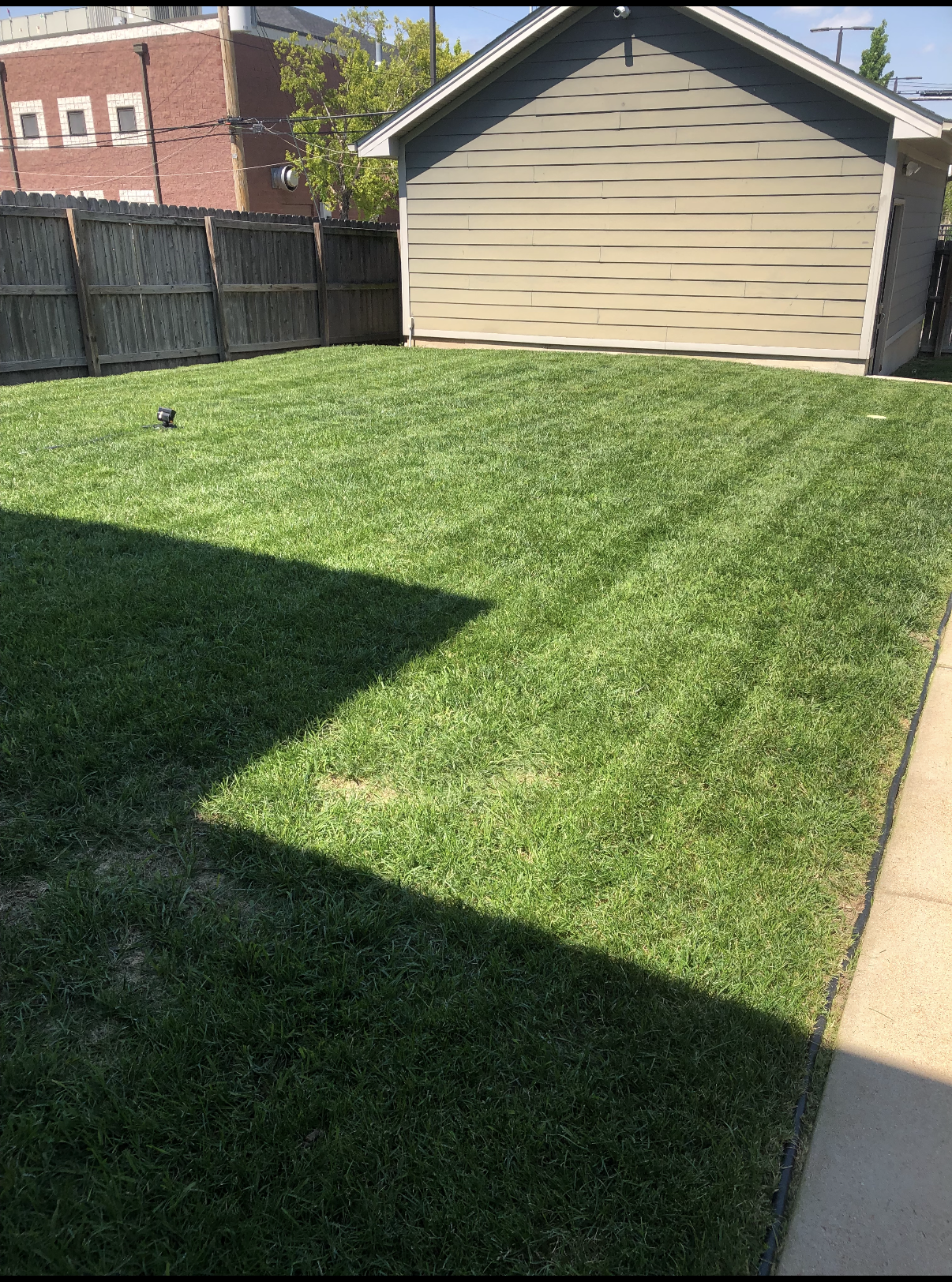 complete lawn care service