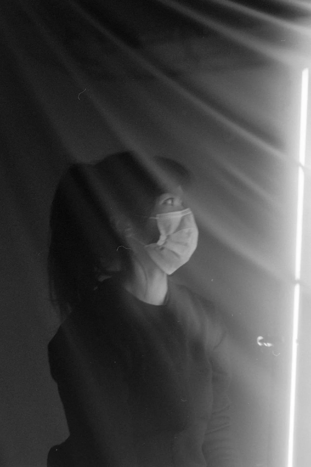 Ventus_35mm29.jpg