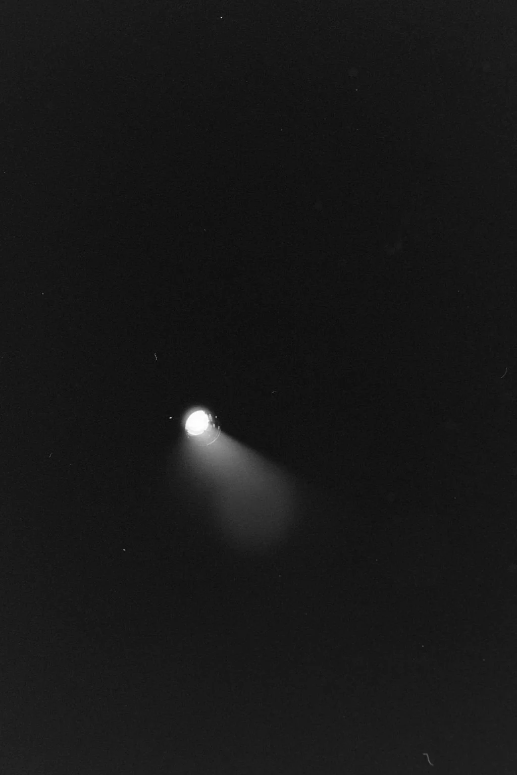 Ventus_35mm7.jpg