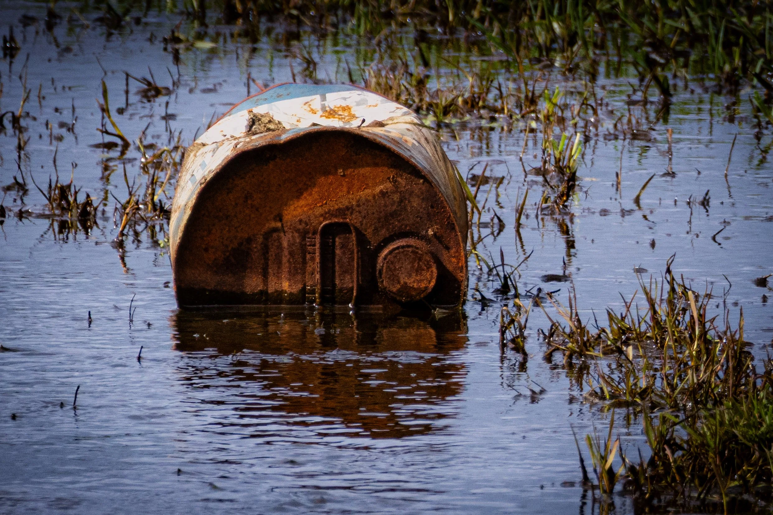 A rusted, abandoned can lying in water among grass and reeds.