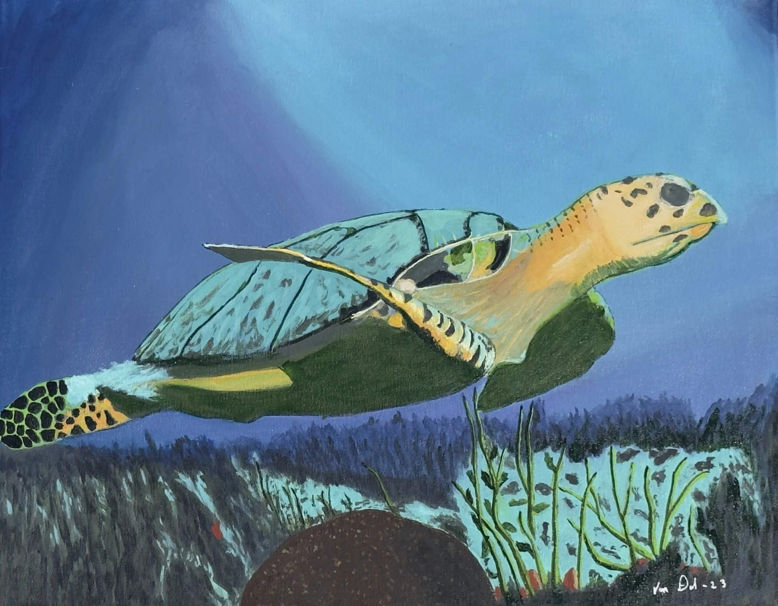 Sea Turtle 