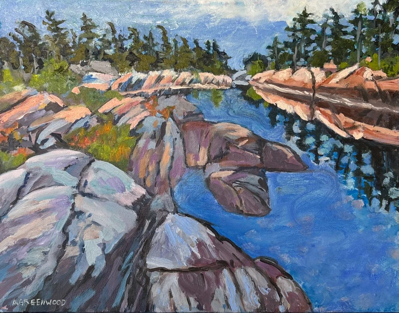 Georgian Bay - acrylic on canvas -
12 x 16 - Framed 

