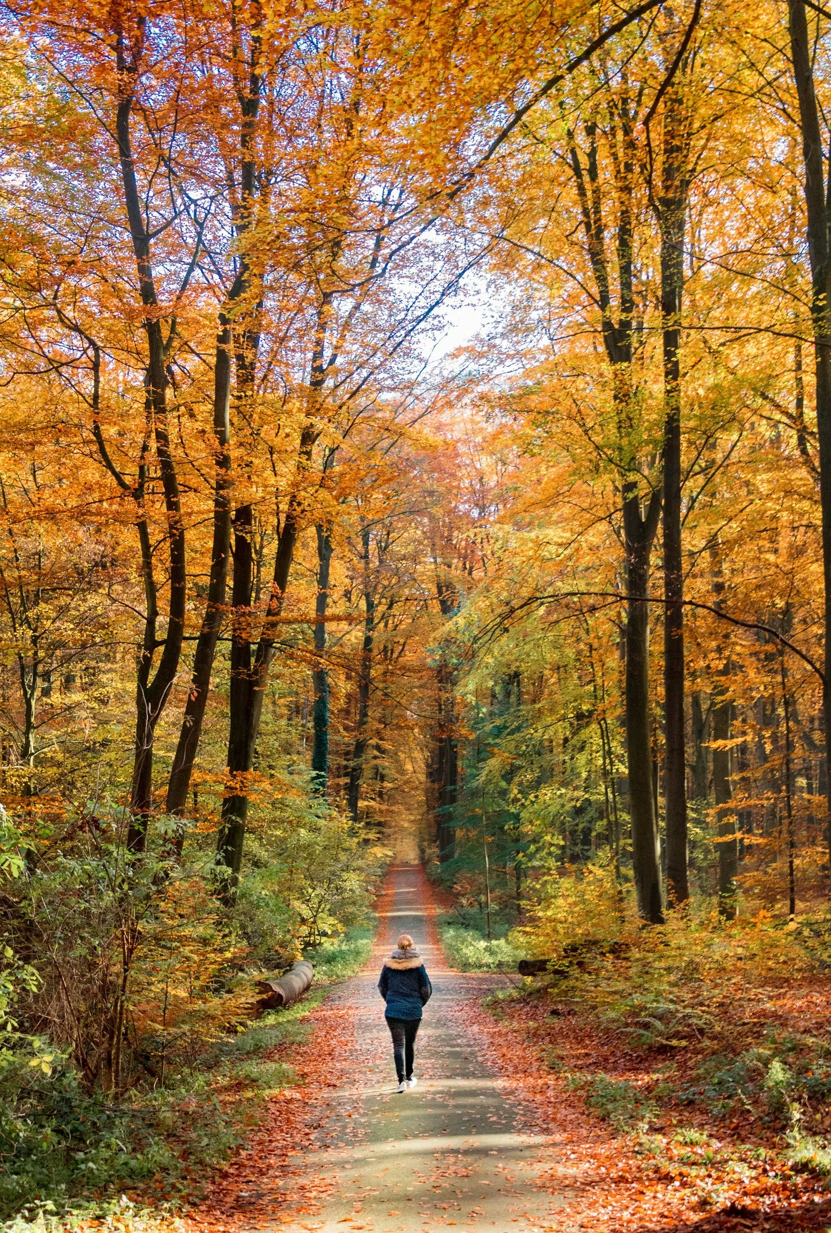 Eine Frau geht auf einem schmalen Weg durch einen herbstlichen Wald mit orange- und gelbfarbenden Bäumen.