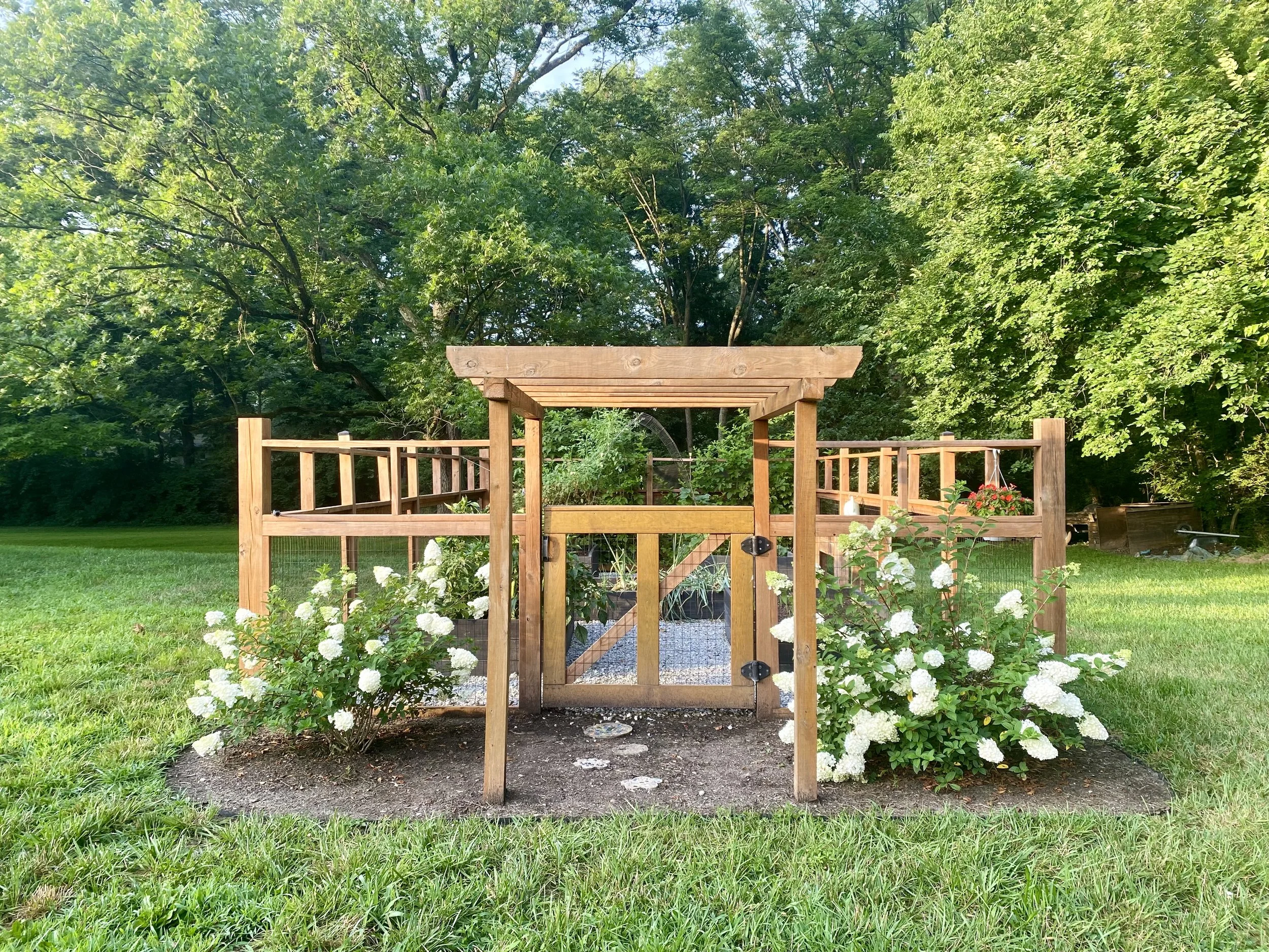 A backyard with a wooden garden structure, surrounded by white flowering bushes and lush green trees.