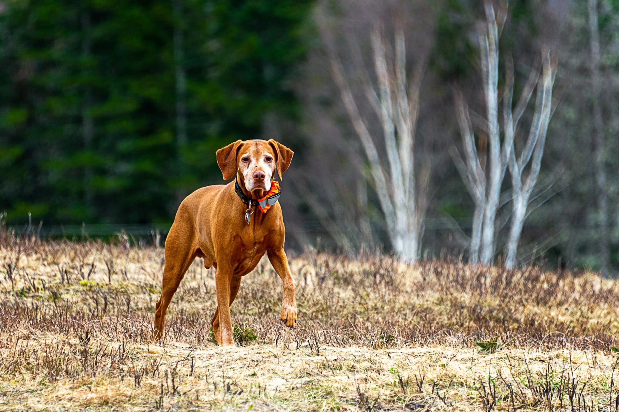 mkgphoto-3073-2.jpg