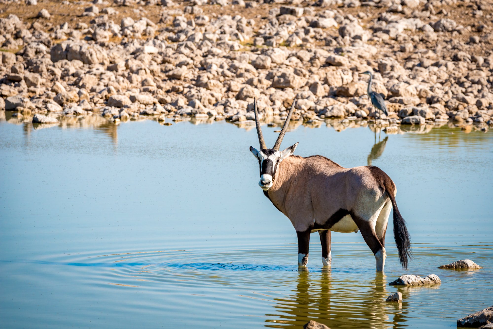 mkgphoto_Namibia_africa-0855.jpg