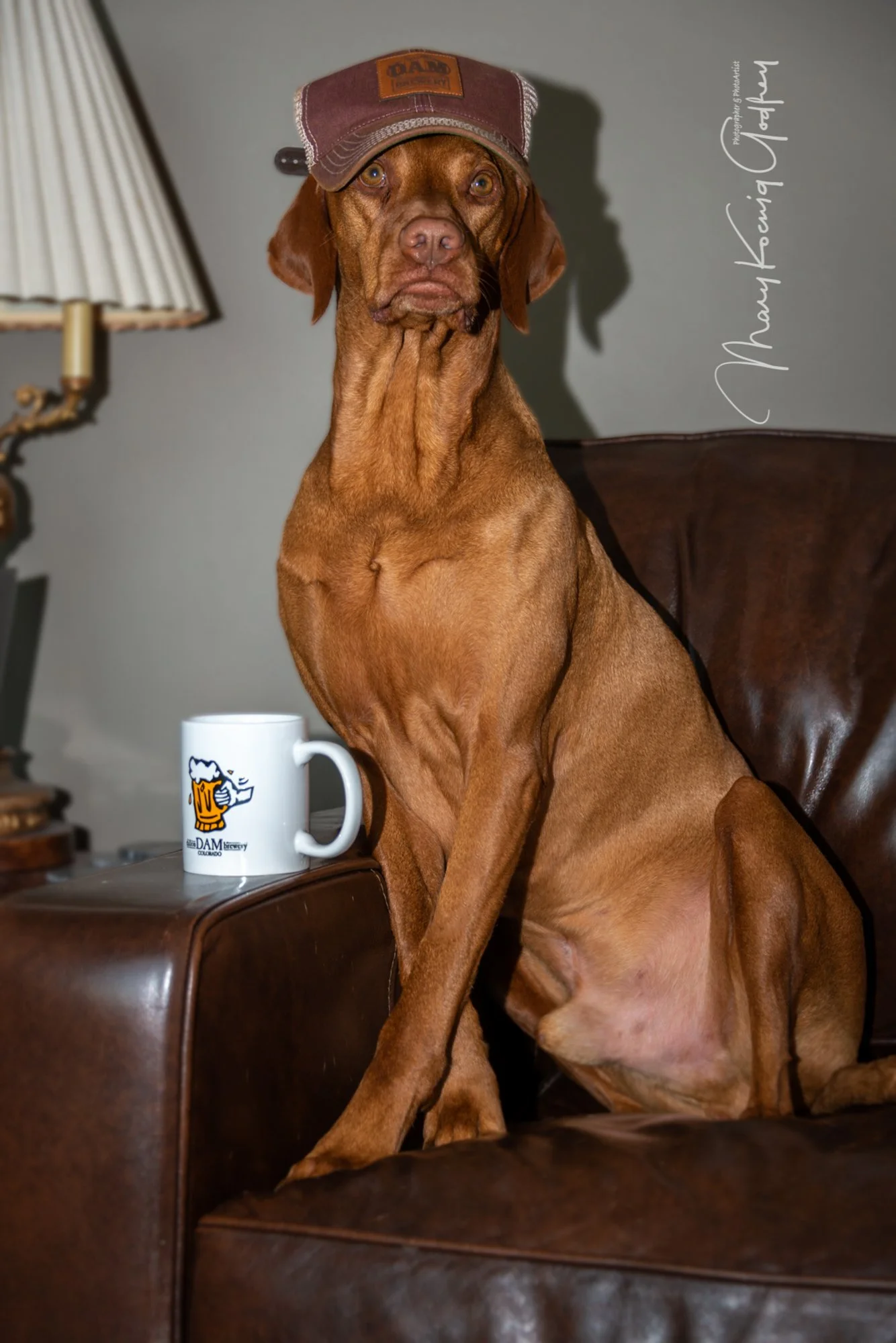 mkgphoto_pets-3040.jpg