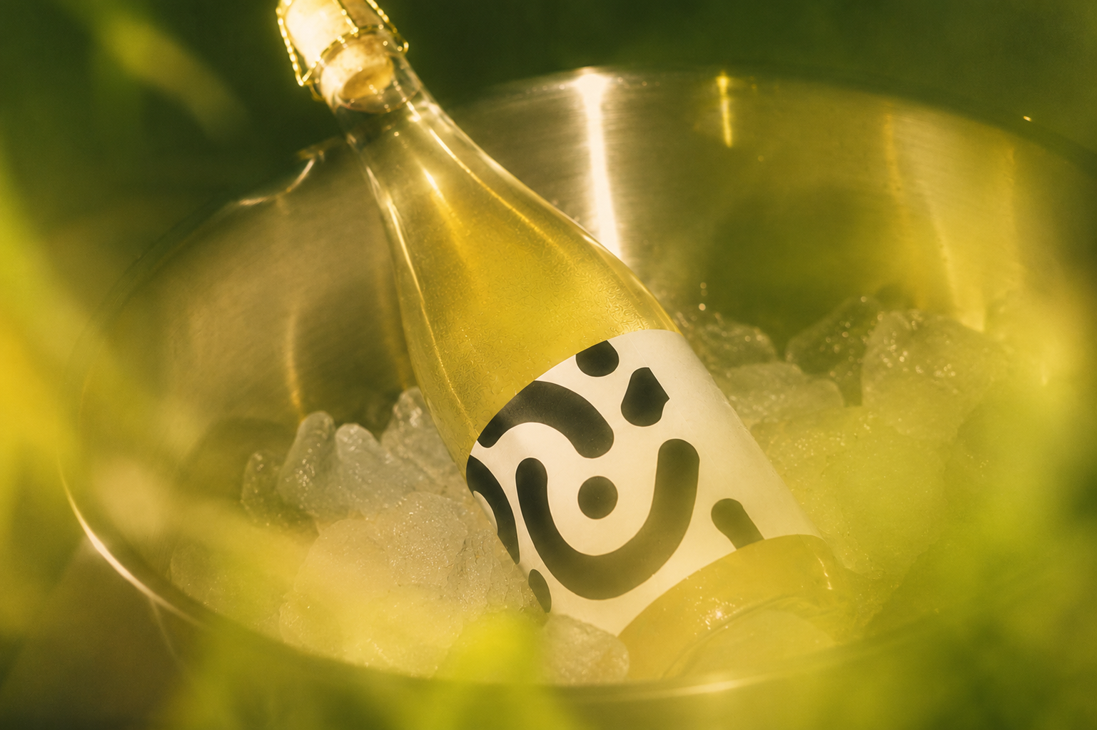 Cuvée | Jalapeño Lime Kombucha