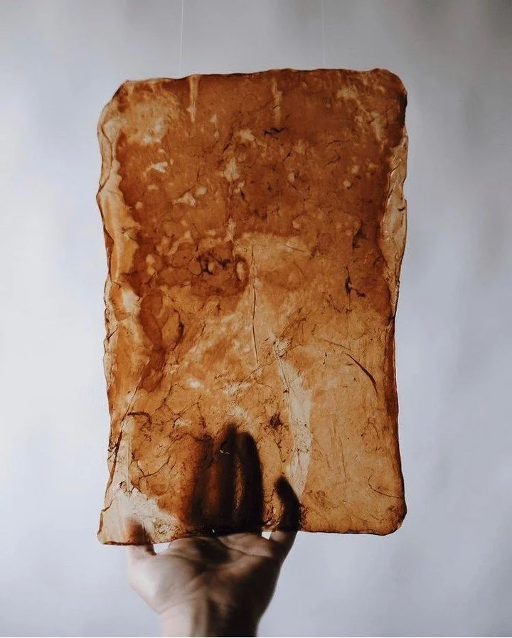A person holding a large, rectangular, ochre-colored scoby with an uneven surface and a dark, irregular pattern near the bottom.