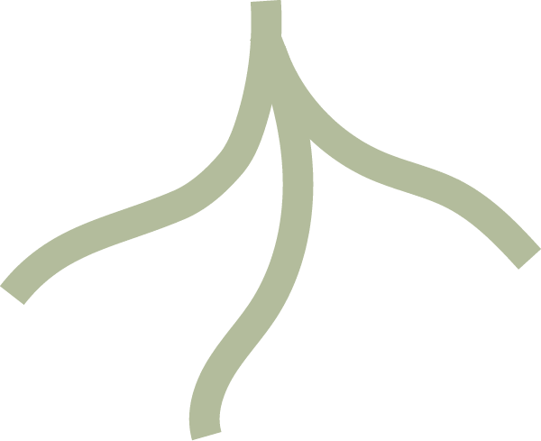 Wurzeln illustriert grün