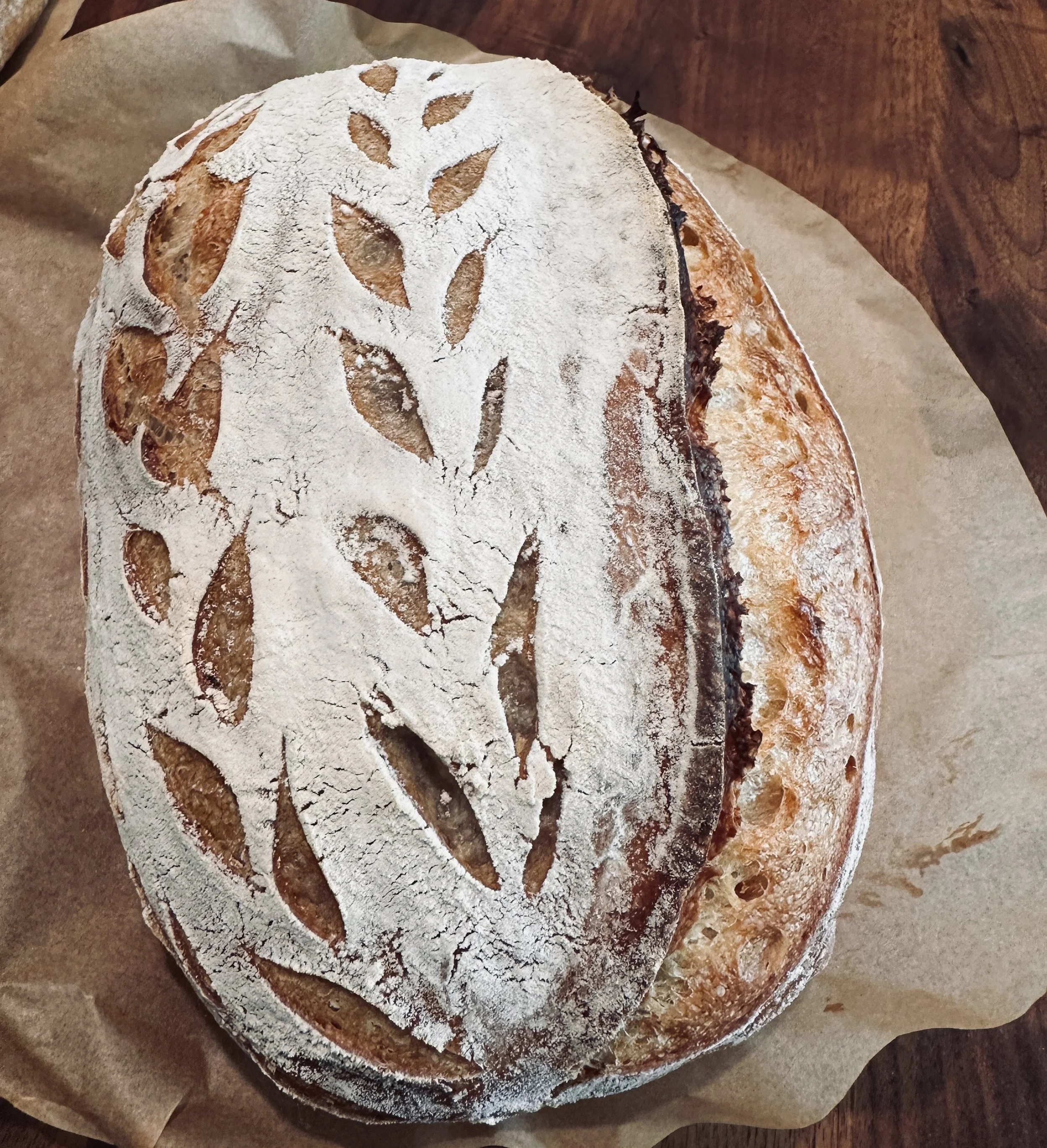 Sourdough starter Arthur