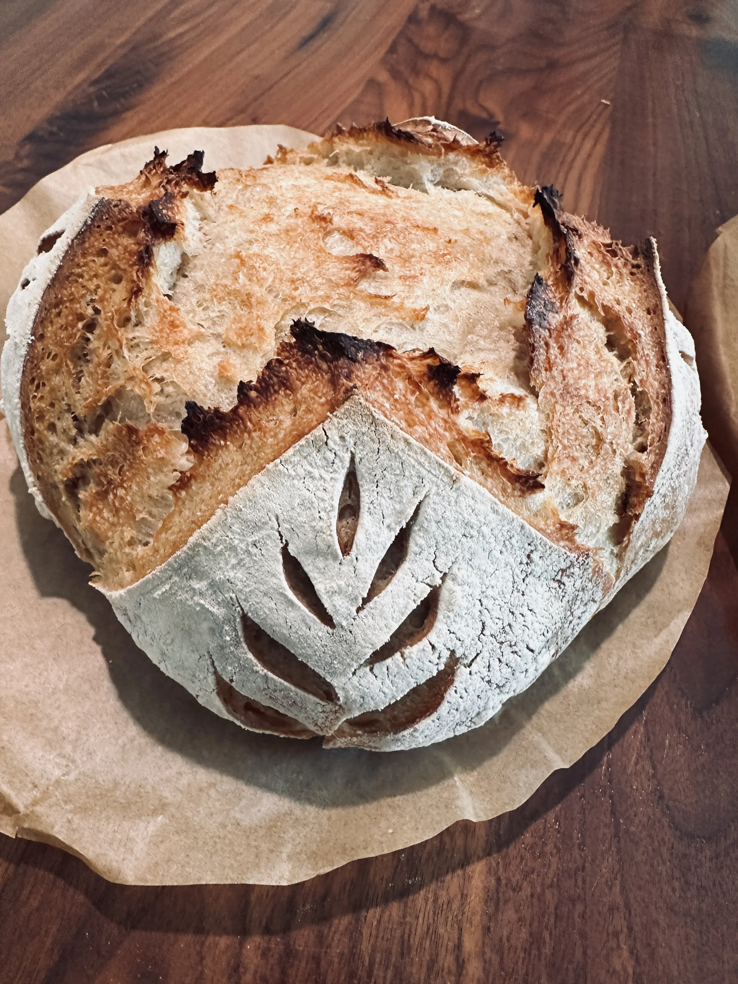 Sourdough Starter Sofi