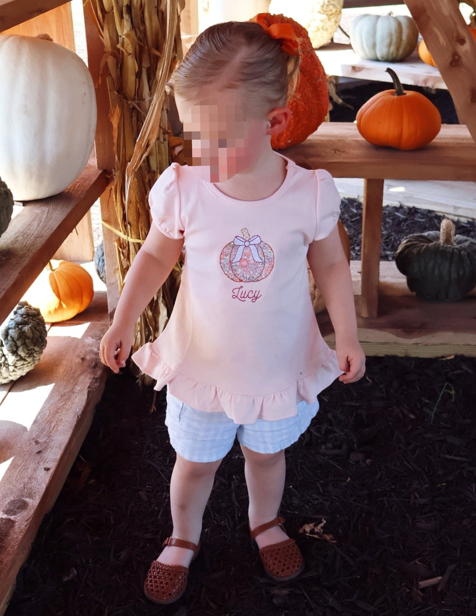 PUMPKIN APPLIQUE MODELED.png