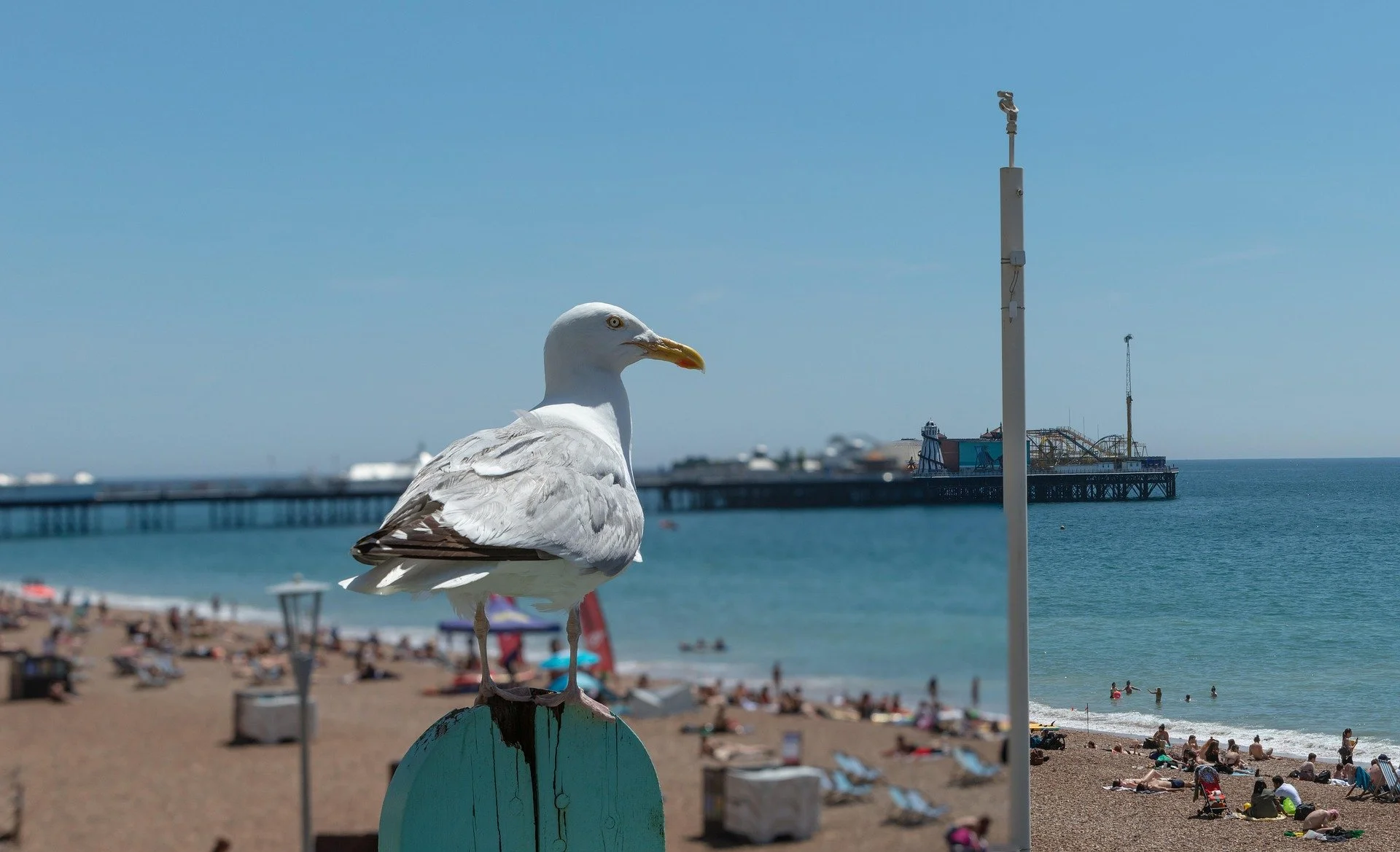 Brighton Beach Day Trip