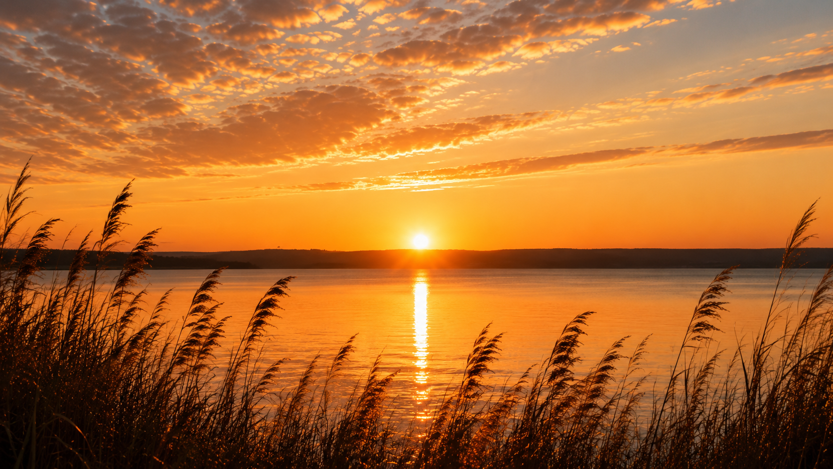 Sunset over a body of water with tall grasses in the foreground and partly cloudy sky.