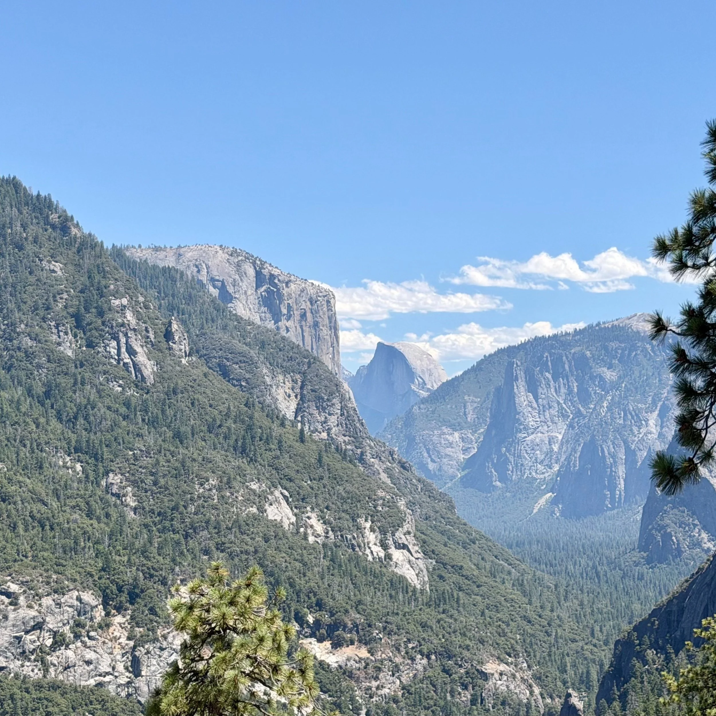 🏔 Yosemite Familiarization Trip - August 2026

Views from my 3-day romp around Yosemite preparing for my first trip - learning the ropes of the hikes, getting to know the locals (the trees 😊) and taking too many selfies with Half Dome.