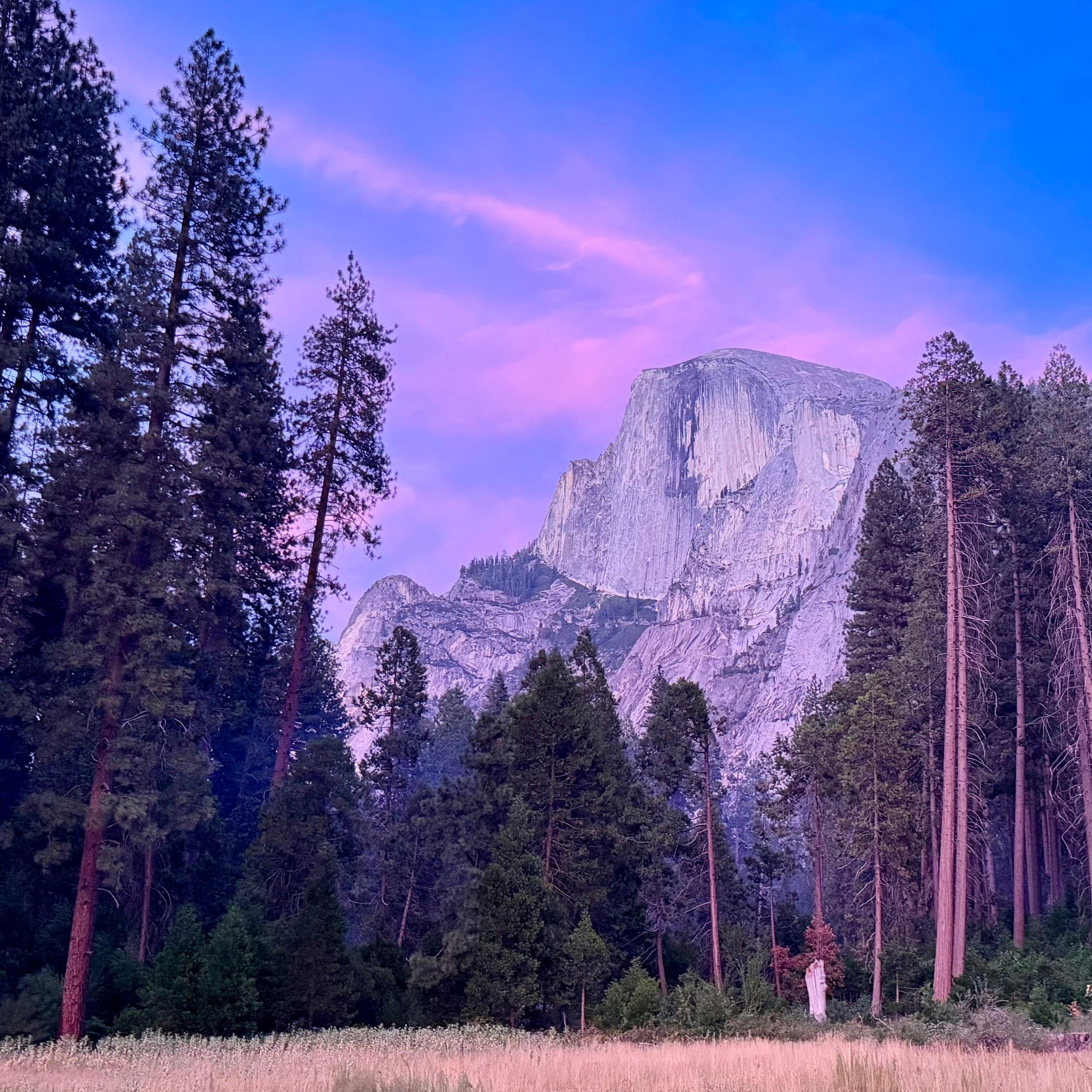 Yosemite Hiking &amp; Walking - 8/16

Trip ✌ was full of trail magic, epic sunsets with Half Dome, meeting up with my pal Gerry (the best ice cream machine), and some trail snacks that may or may not have fallen on the ground, and I may or may not ha