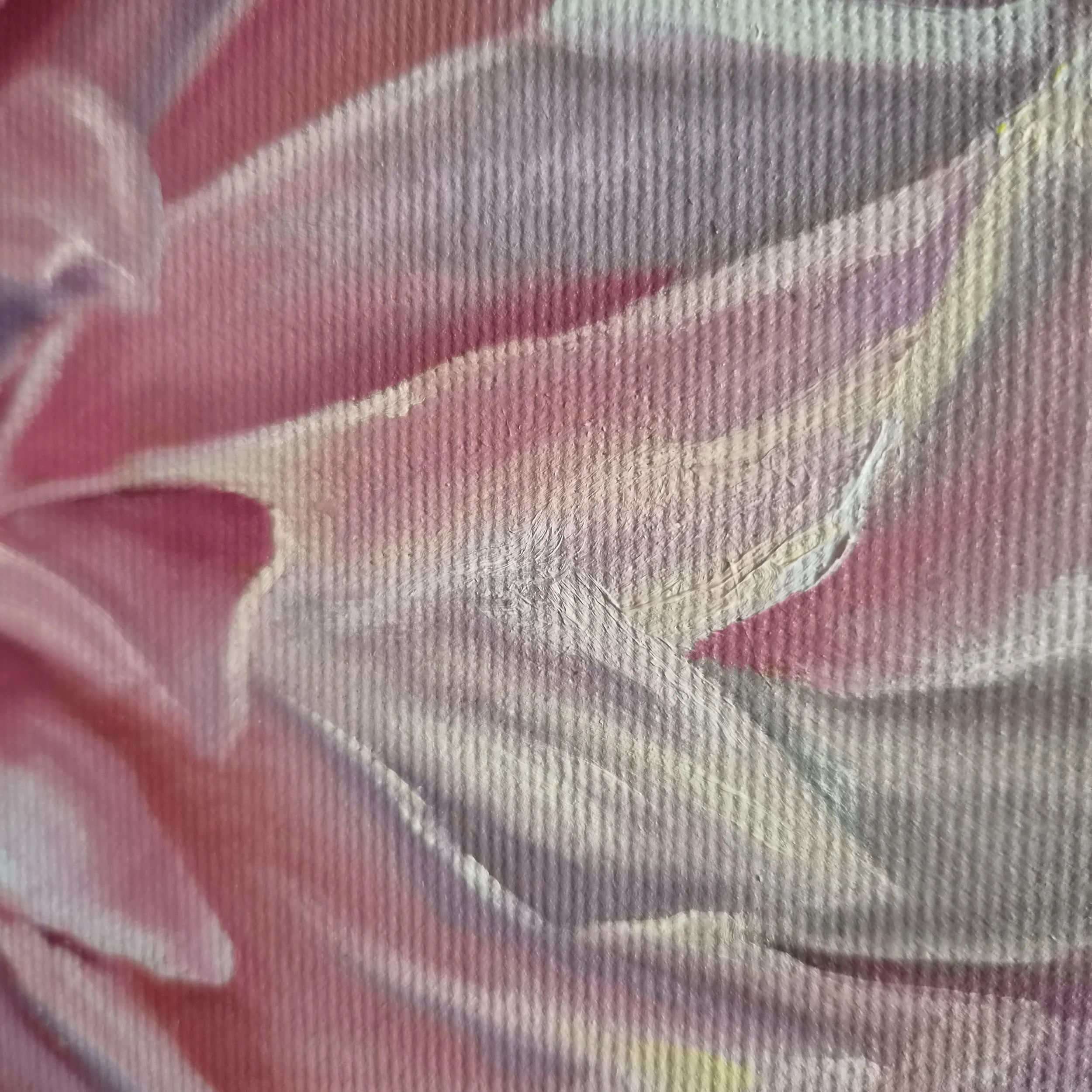 20260505_110612.jpg