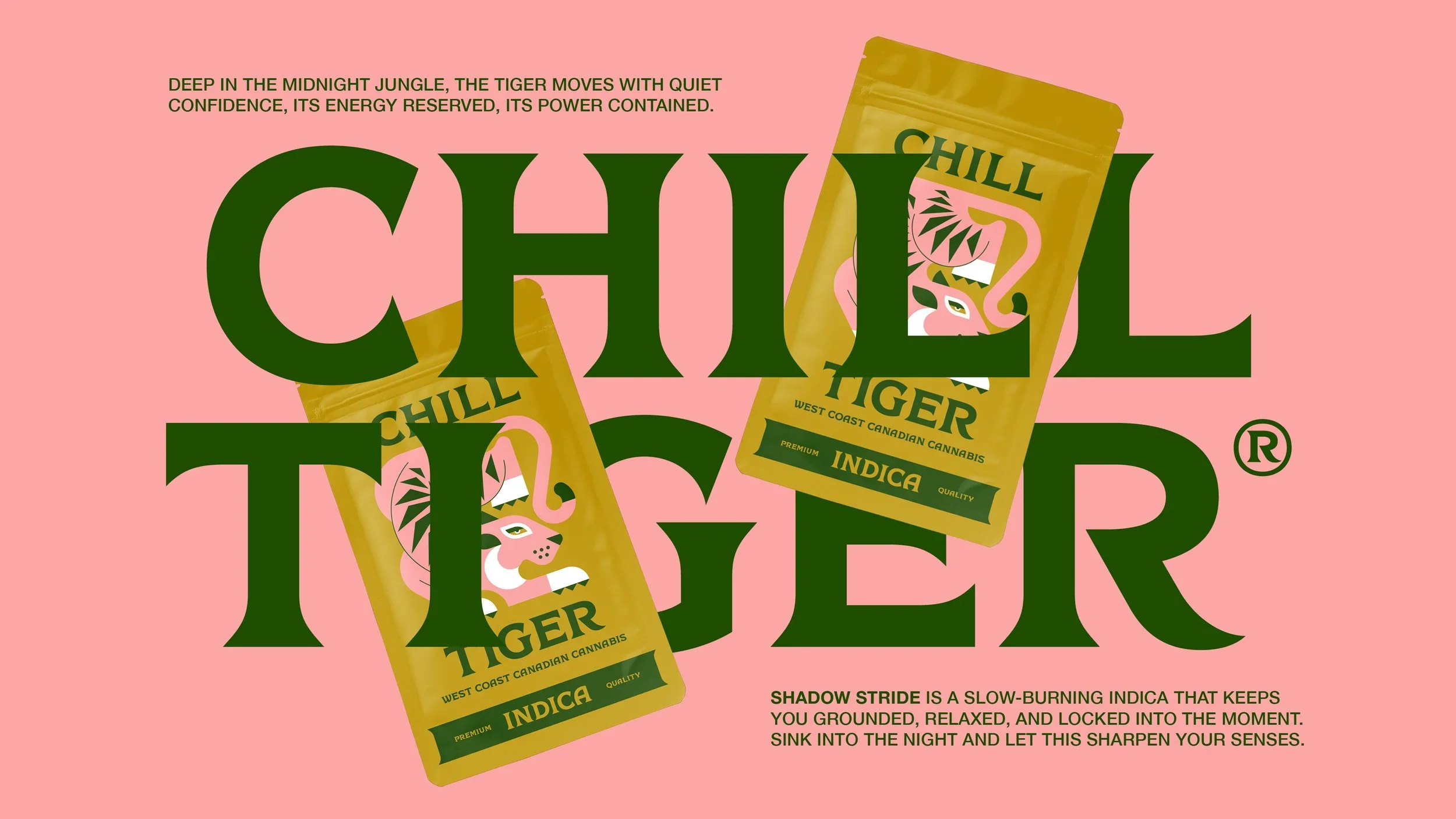 Case+Study+Inspo+(Night+Tiger)3.webp