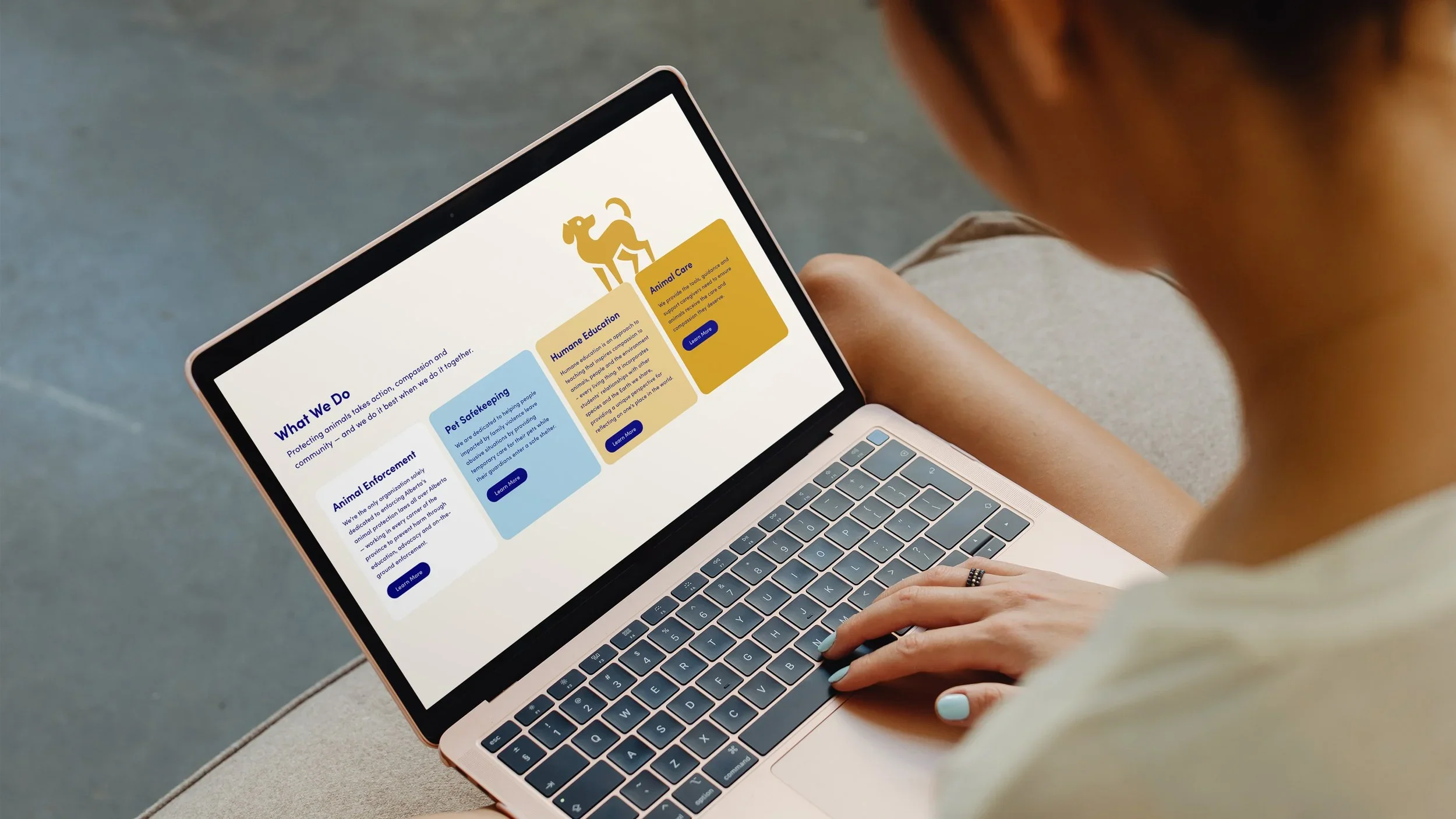 Alberta+SPCA+Logo+Case+Study9.webp
