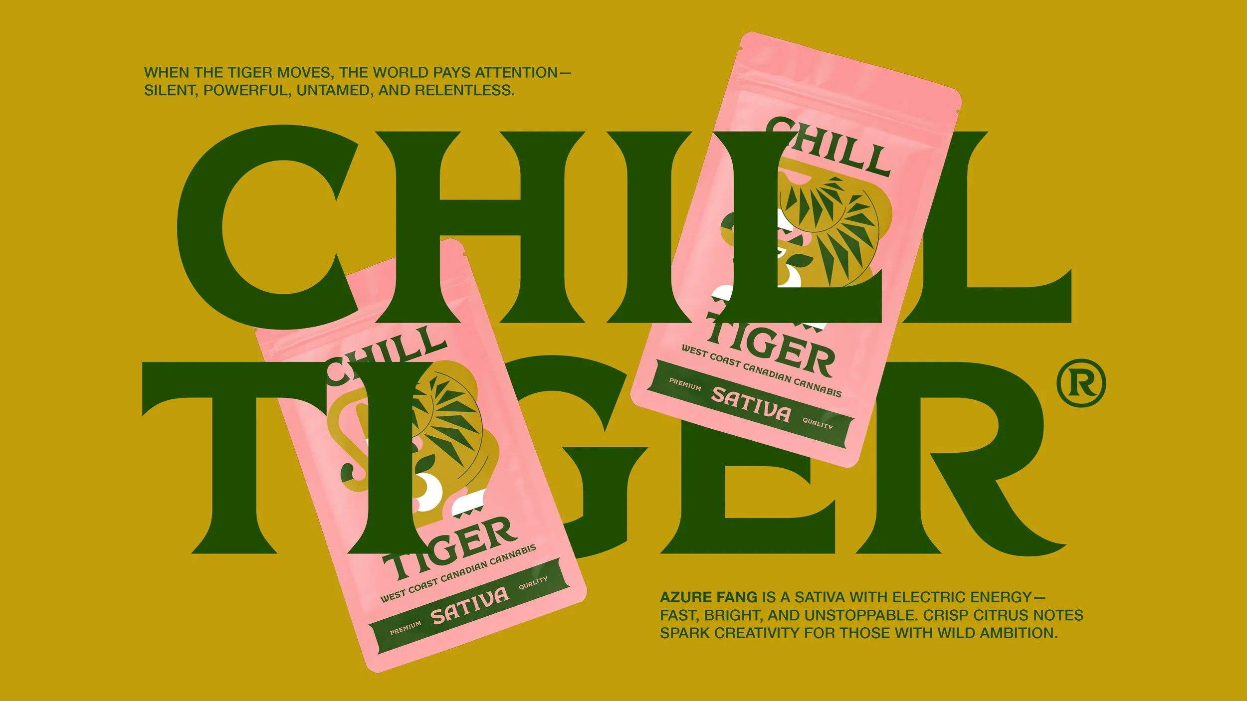 Case+Study+Inspo+(Night+Tiger)5.webp