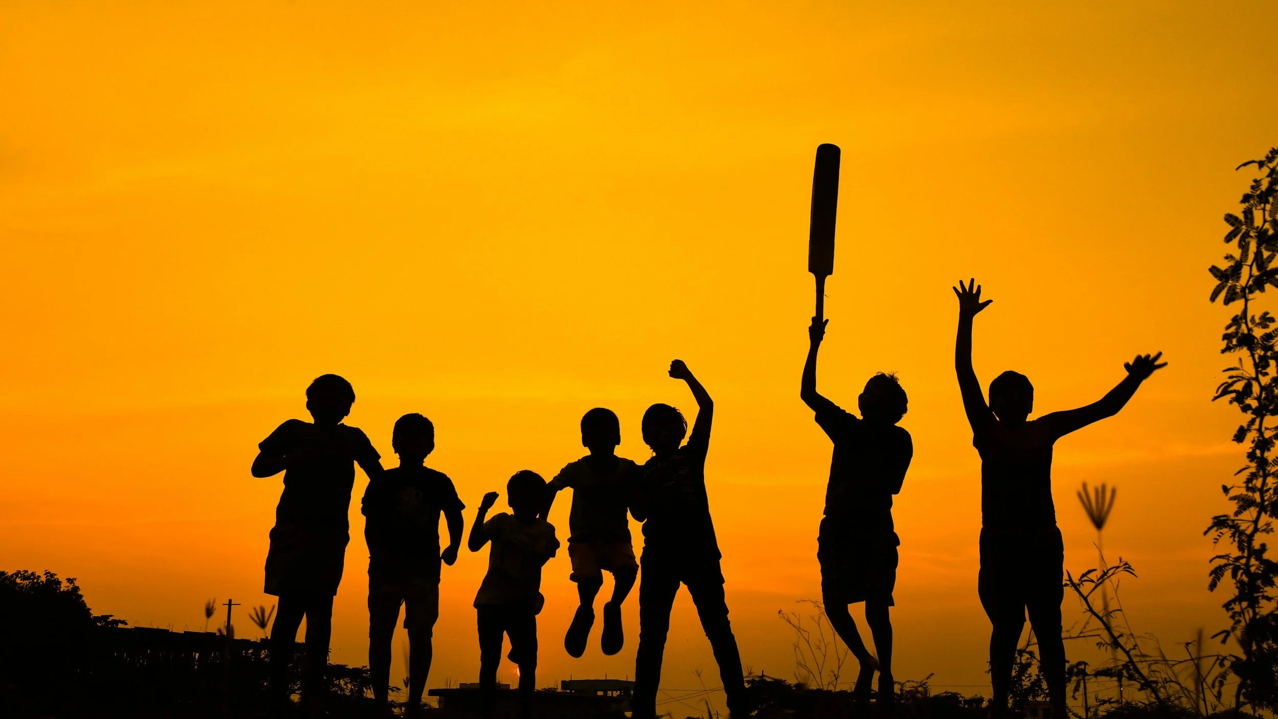 Silhouettes of children playing and raising their hands during sunset, with trees and a sunset sky in the background.