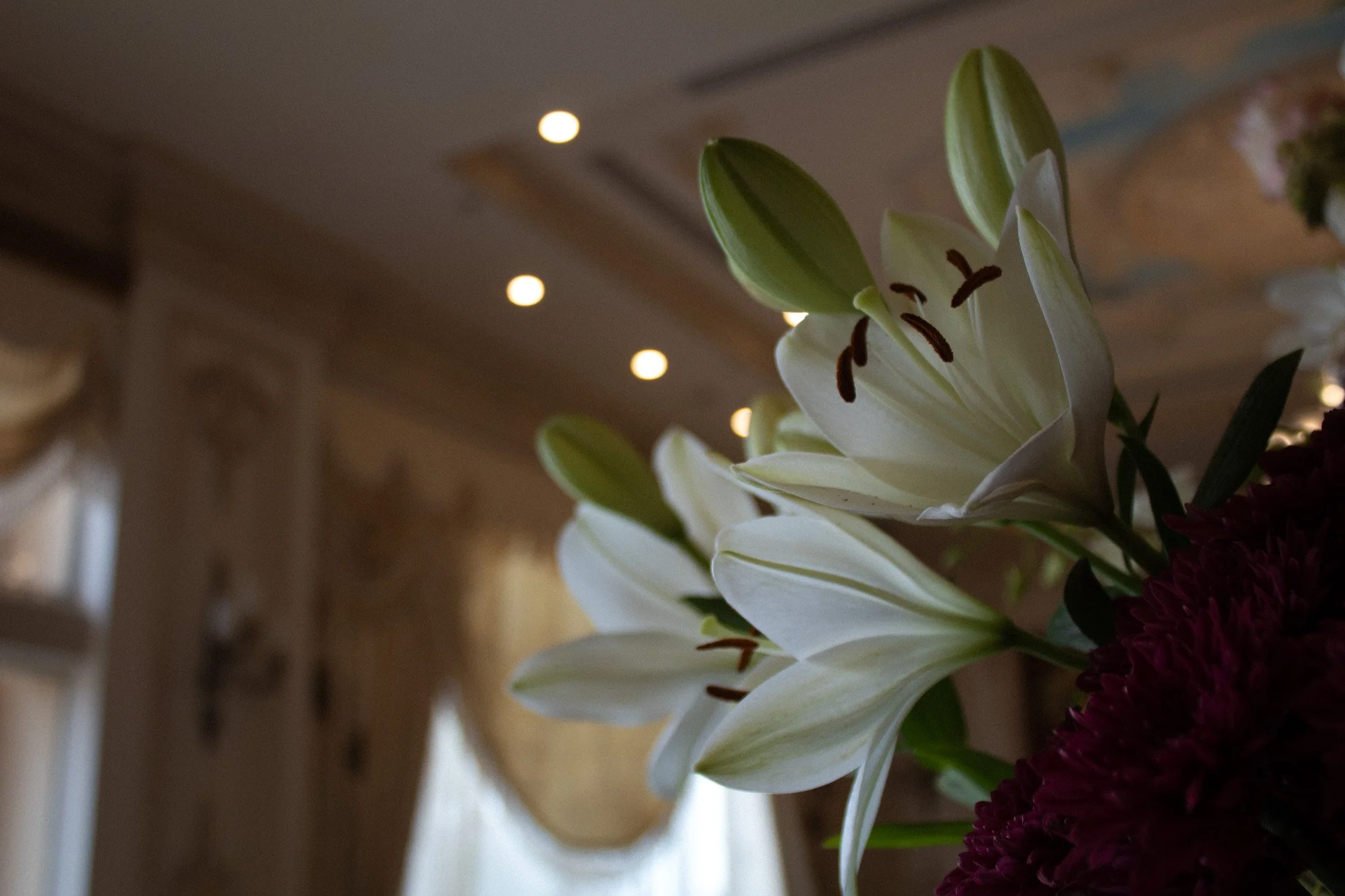 IMG_5648 copy.jpg