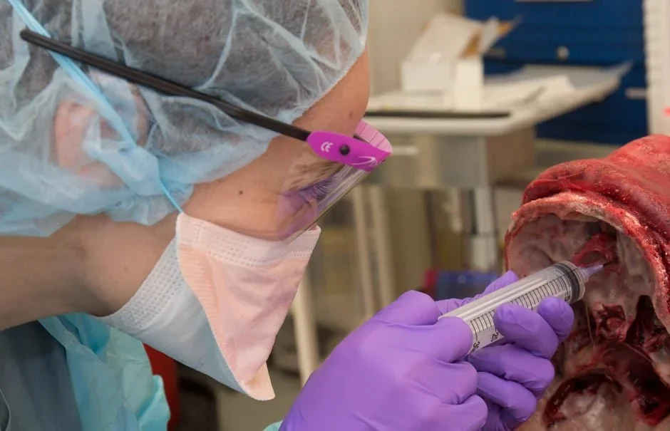 A forensic scientist wearing protective gear, including gloves, mask, and face shield, is carefully injecting a substance into a human head model with visible tissue and skull structure.