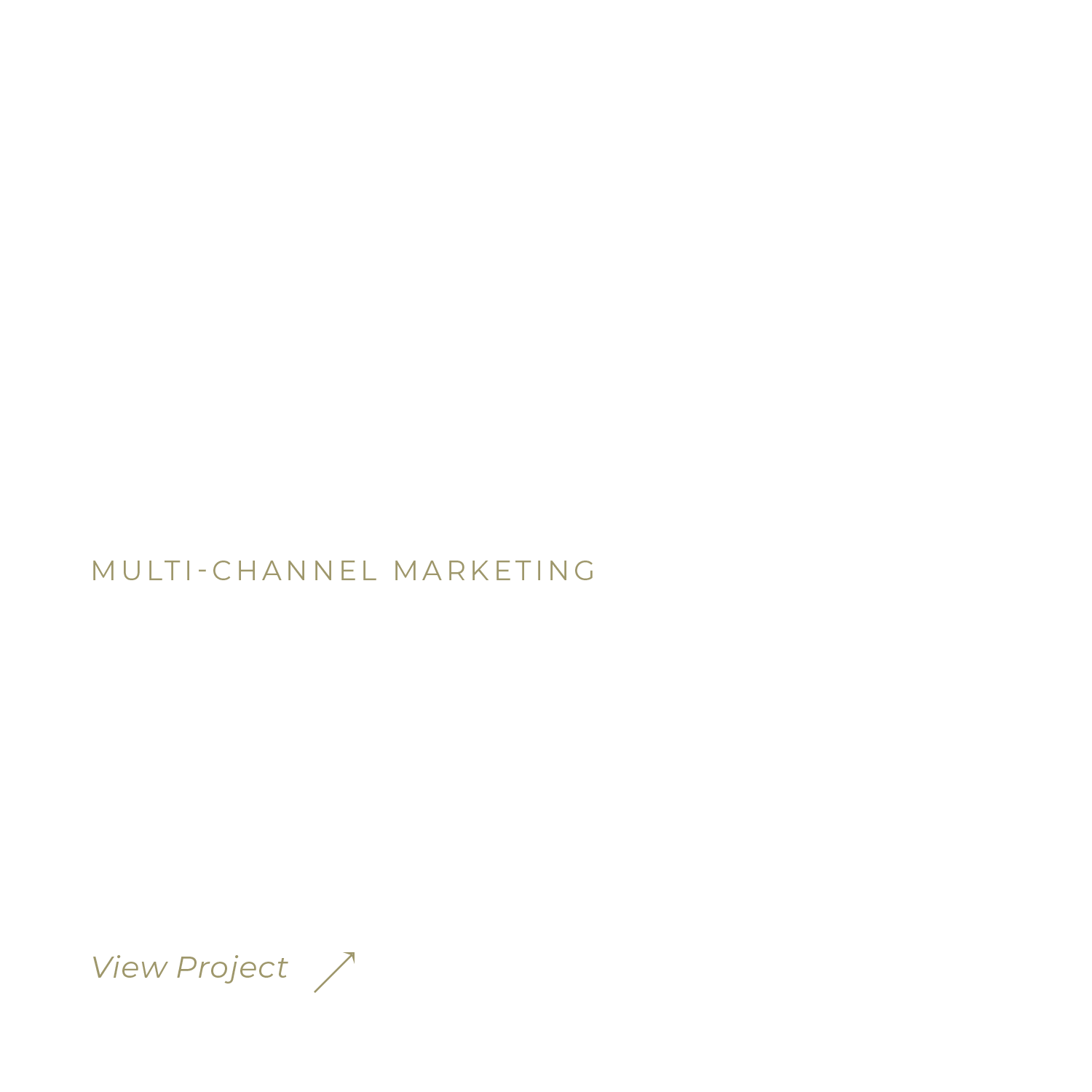 A promotional slide with text highlighting multi-channel marketing services by France Luxe Body, including catalog, packaging, and email campaigns, with a 'View Project' link.