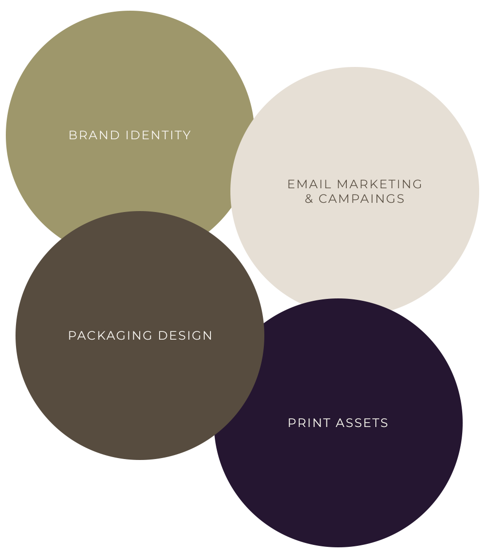 Venn diagram with four circles labeled Brand Identity, Email Marketing & Campaigns, Packaging Design, and Print Assets overlapping slightly.