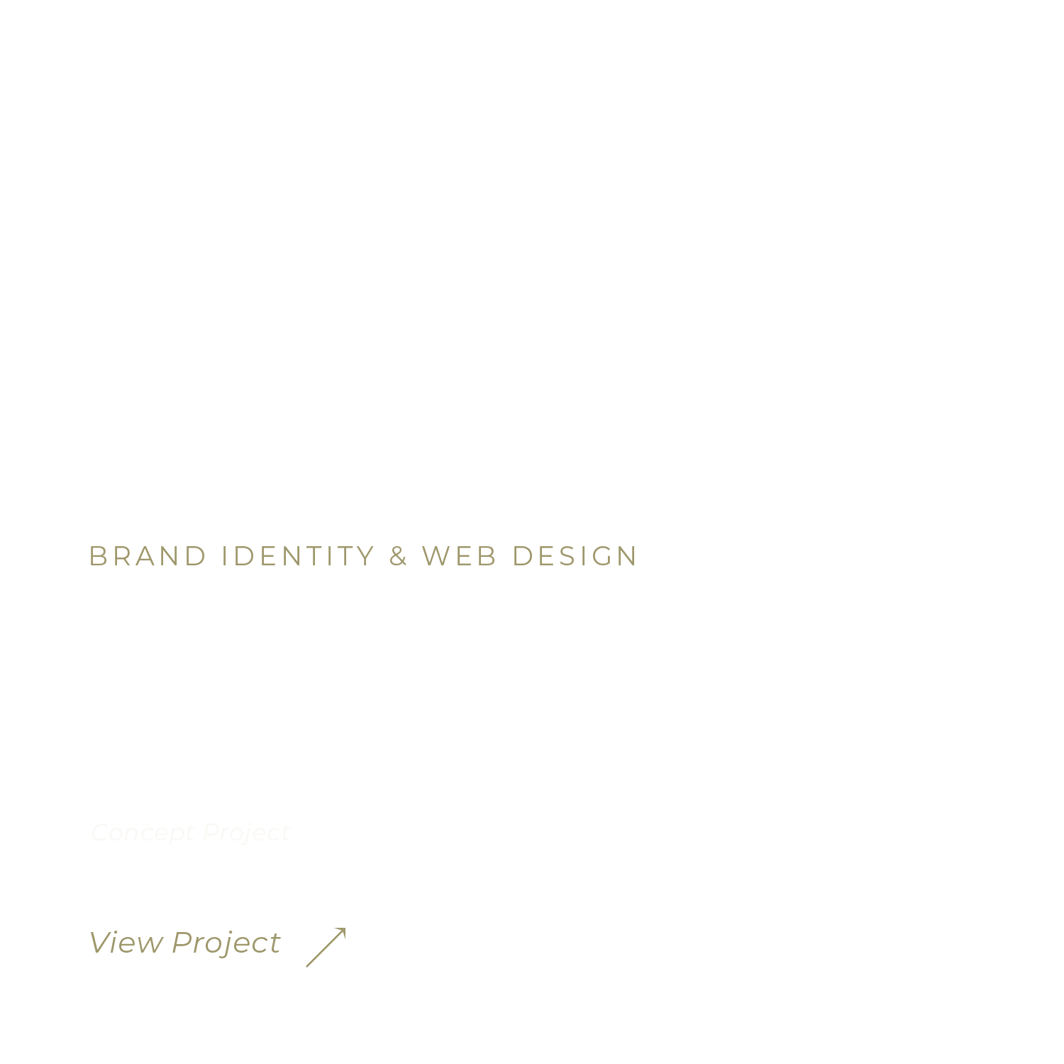 Black background with light beige and white text presenting a brand identity and web design concept for 'Renegade Coffee'. The text mentions rustic brand identity and packaging that supports artisan product storytelling, along with a note about viewing the project.