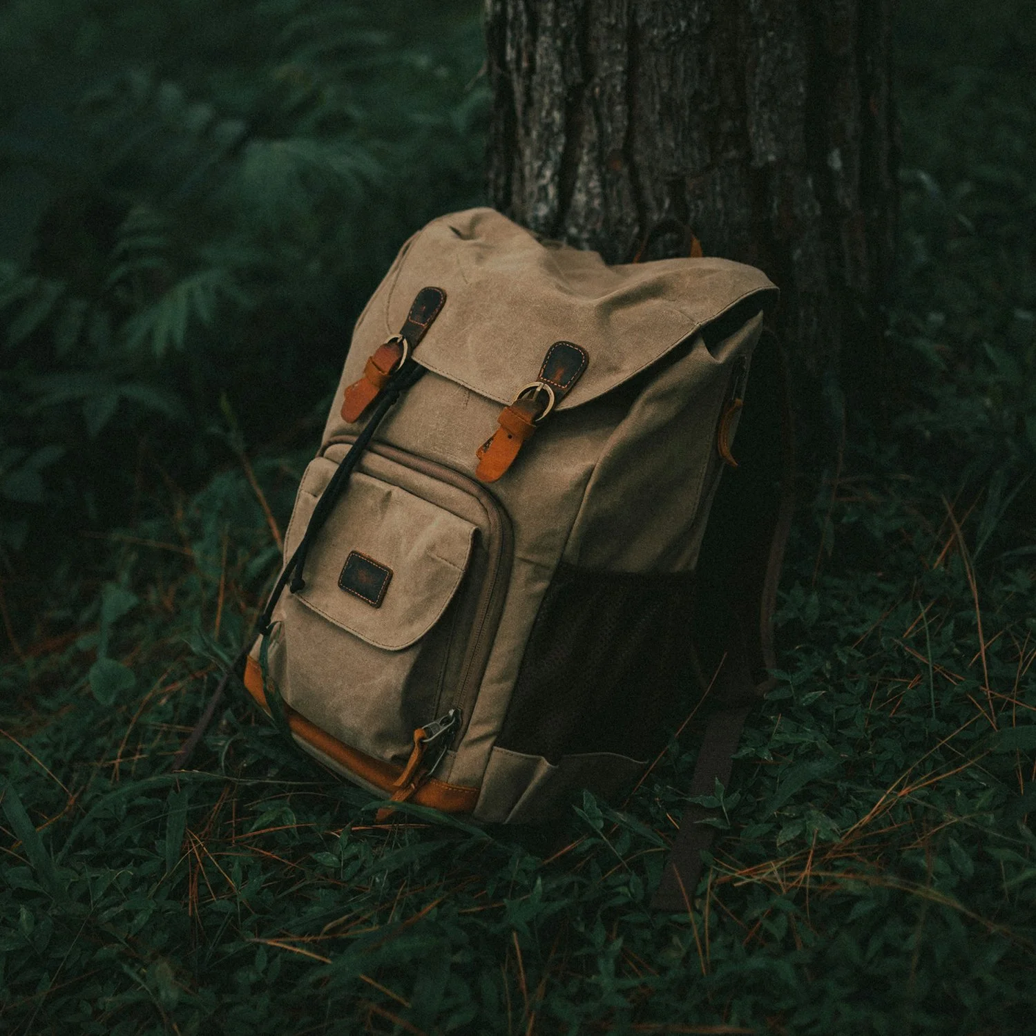 A beige backpack with brown leather straps resting against a tree trunk in a forest, surrounded by green foliage.