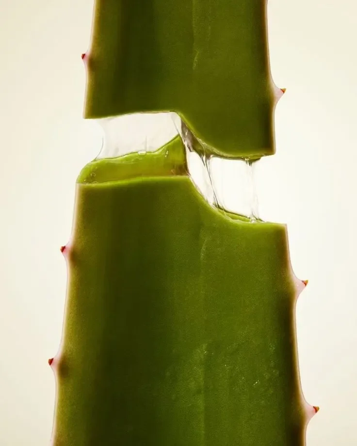 A Clinical Study Found This Plant Helped Lower Hashimoto’s Antibodies