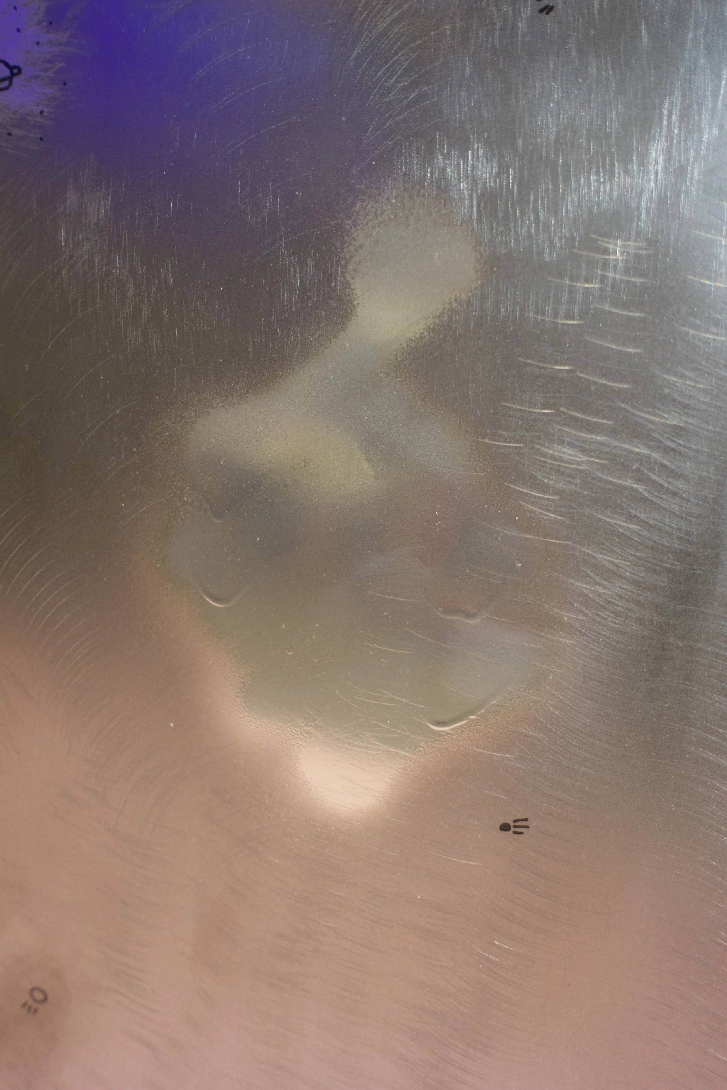 DSC08822.jpeg