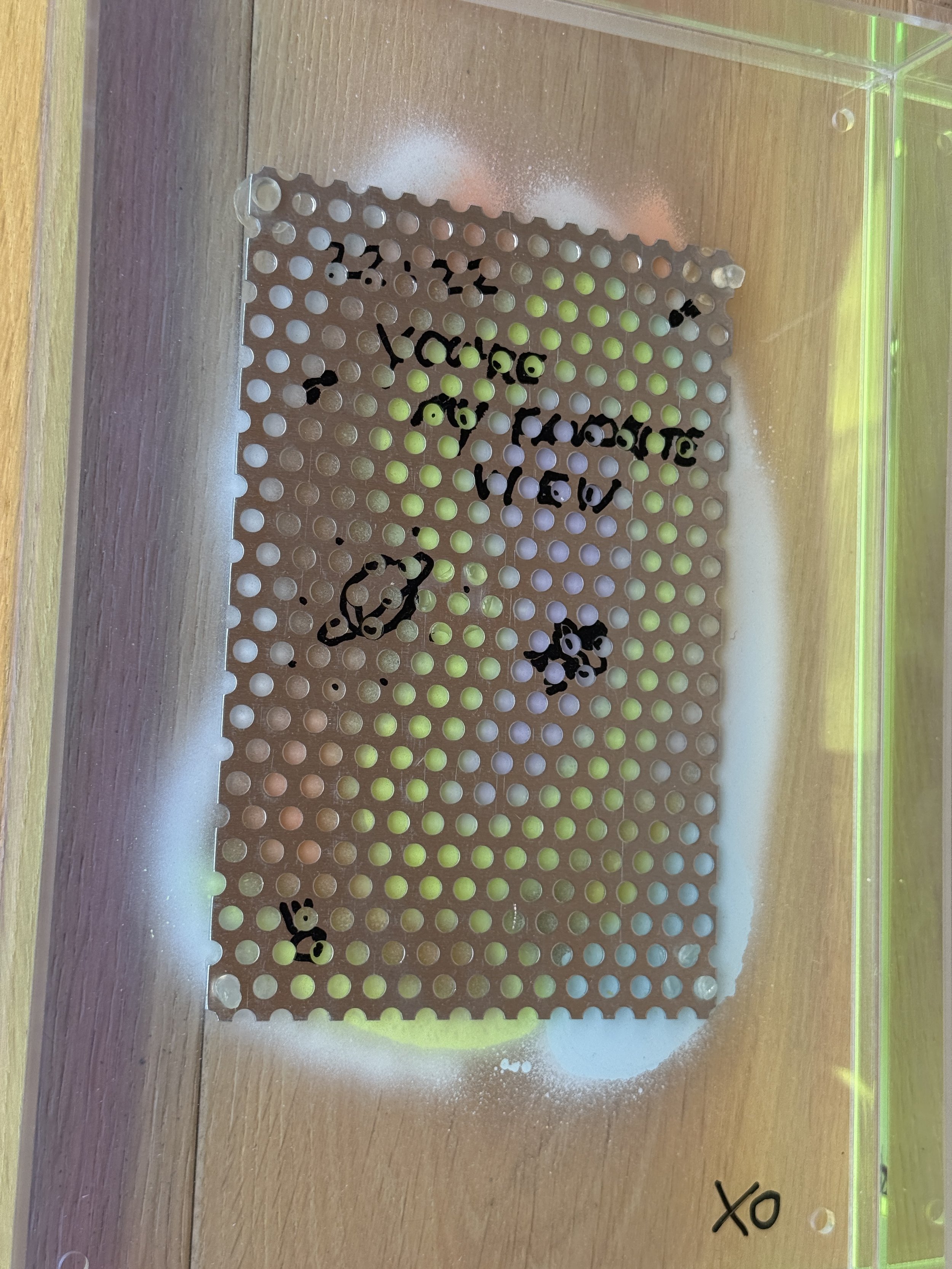 IMG_9502.jpeg