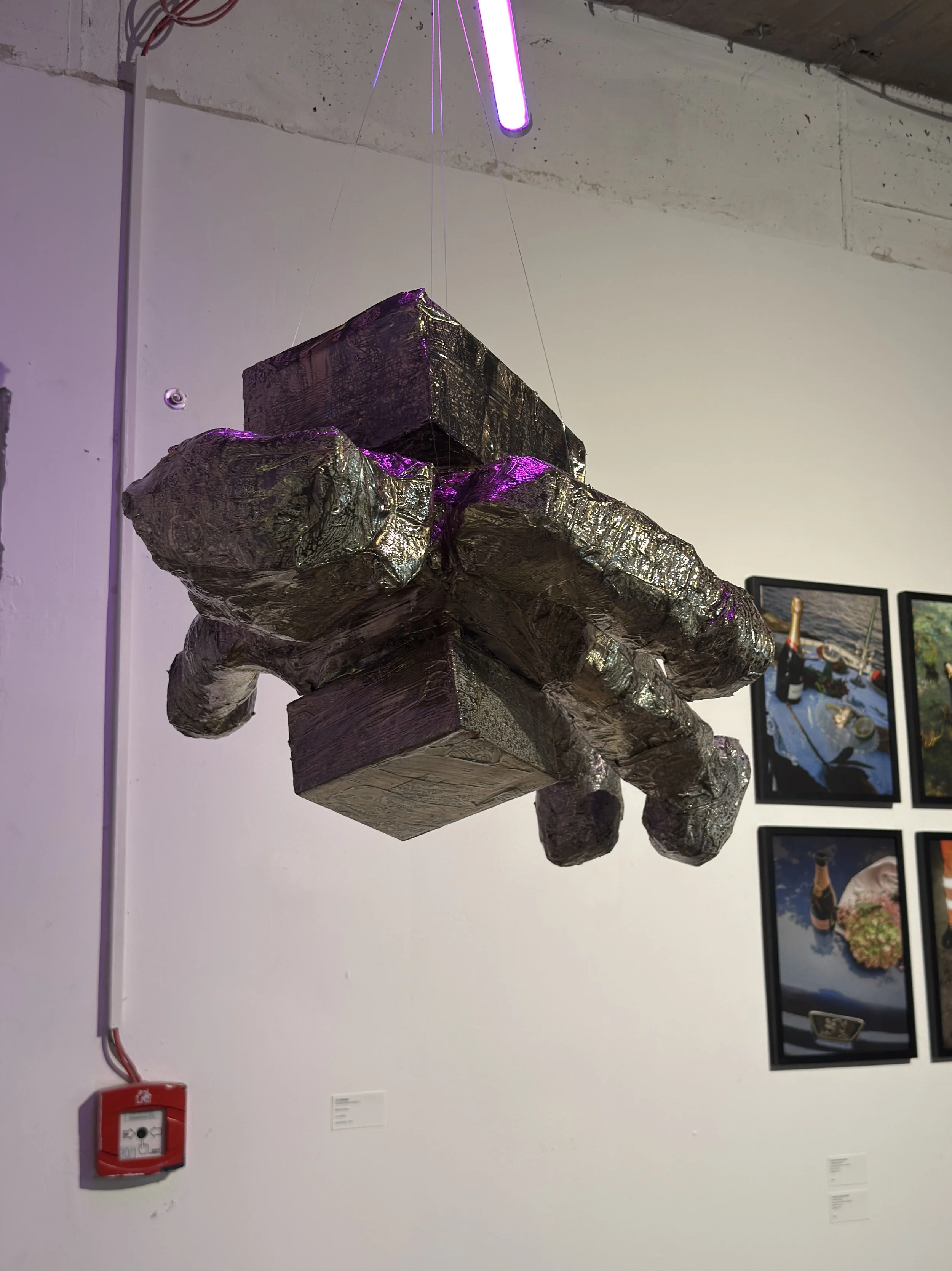 IMG_3916.jpeg
