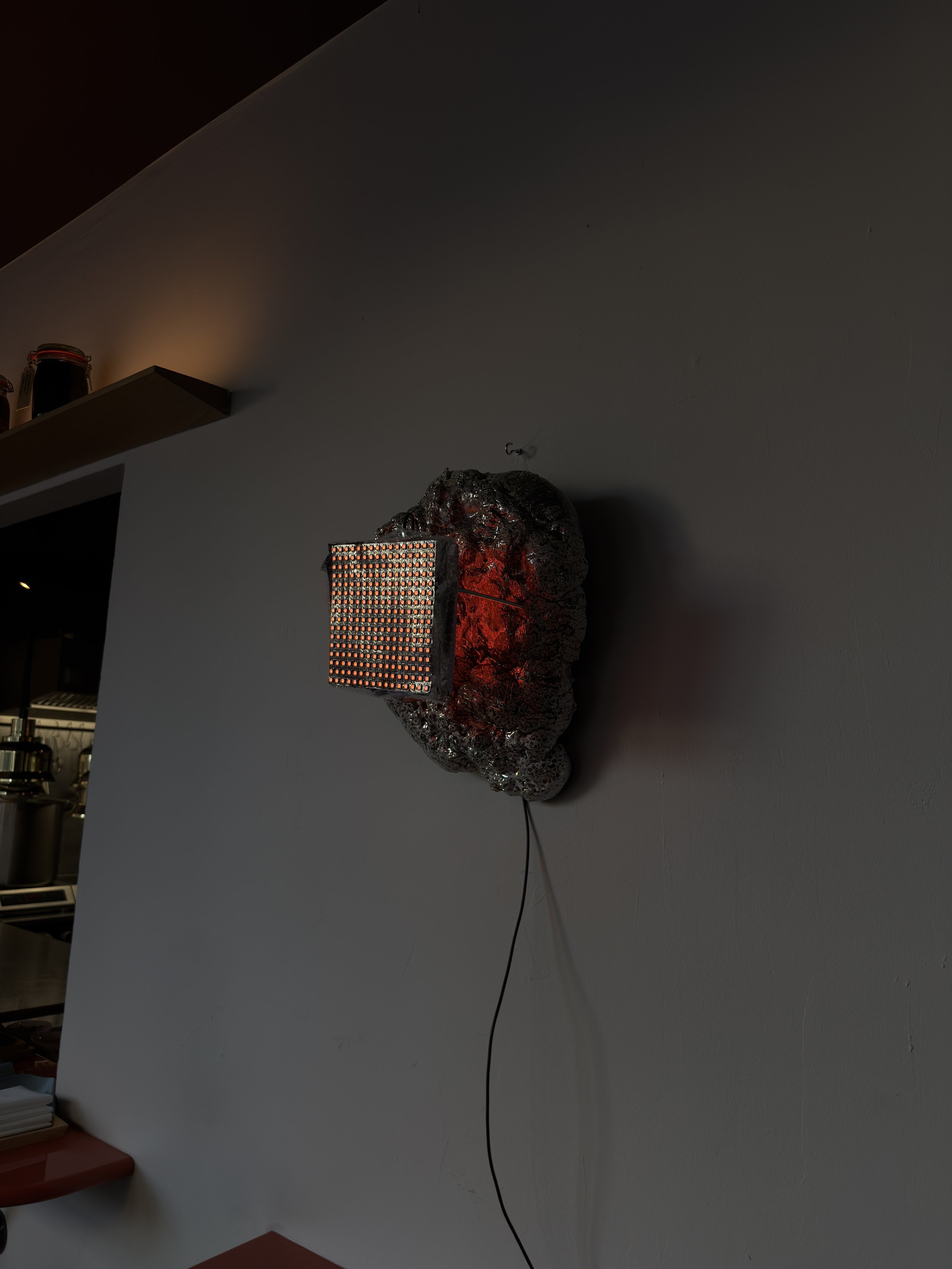 IMG_6514.jpeg