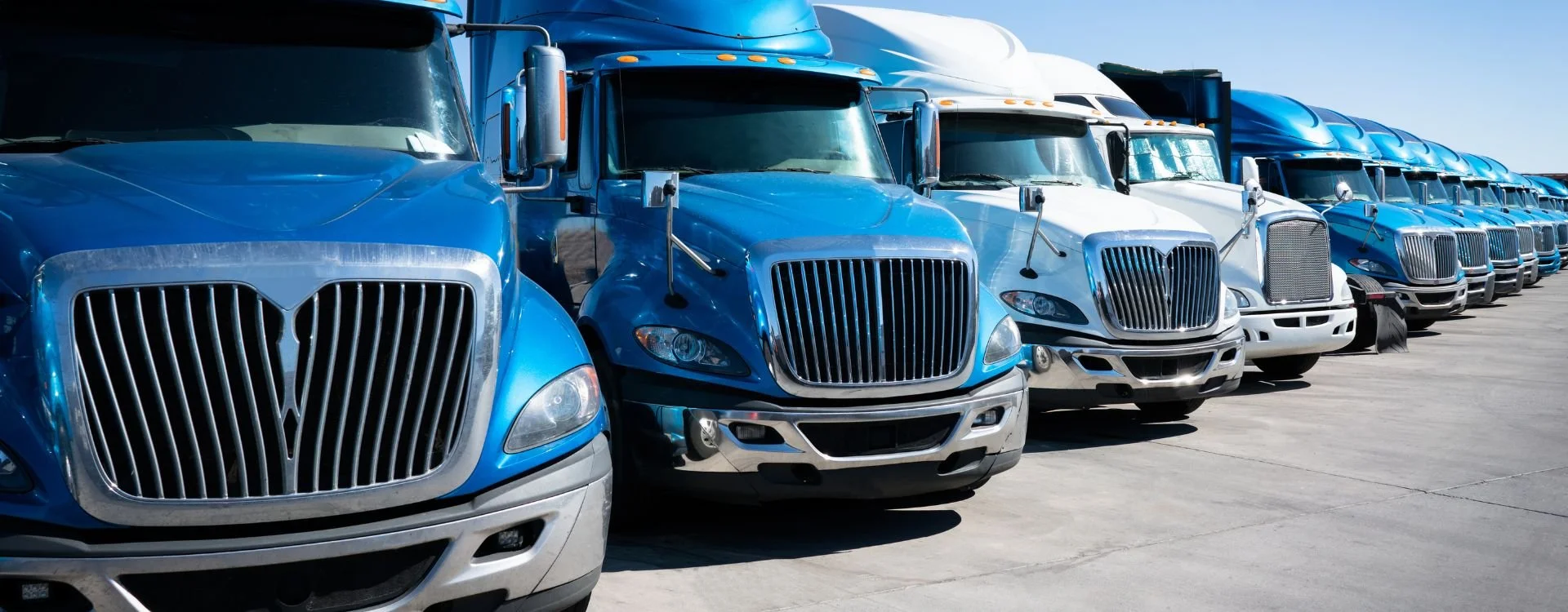 Photo of a line of 18 wheeler trucks.