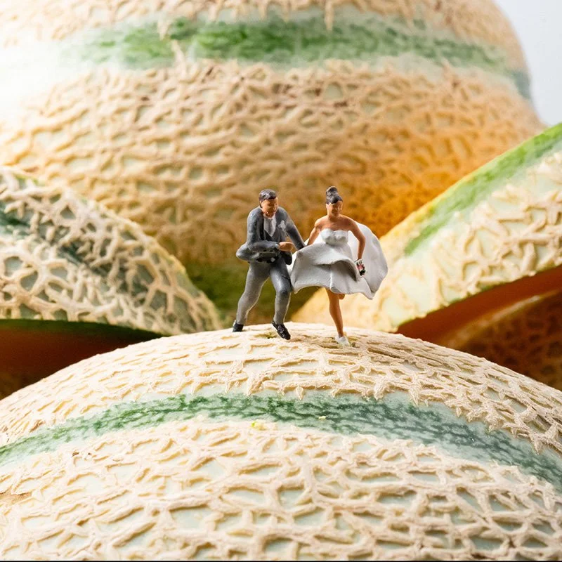 Can'telope