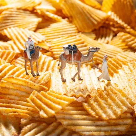 Chips of the desert