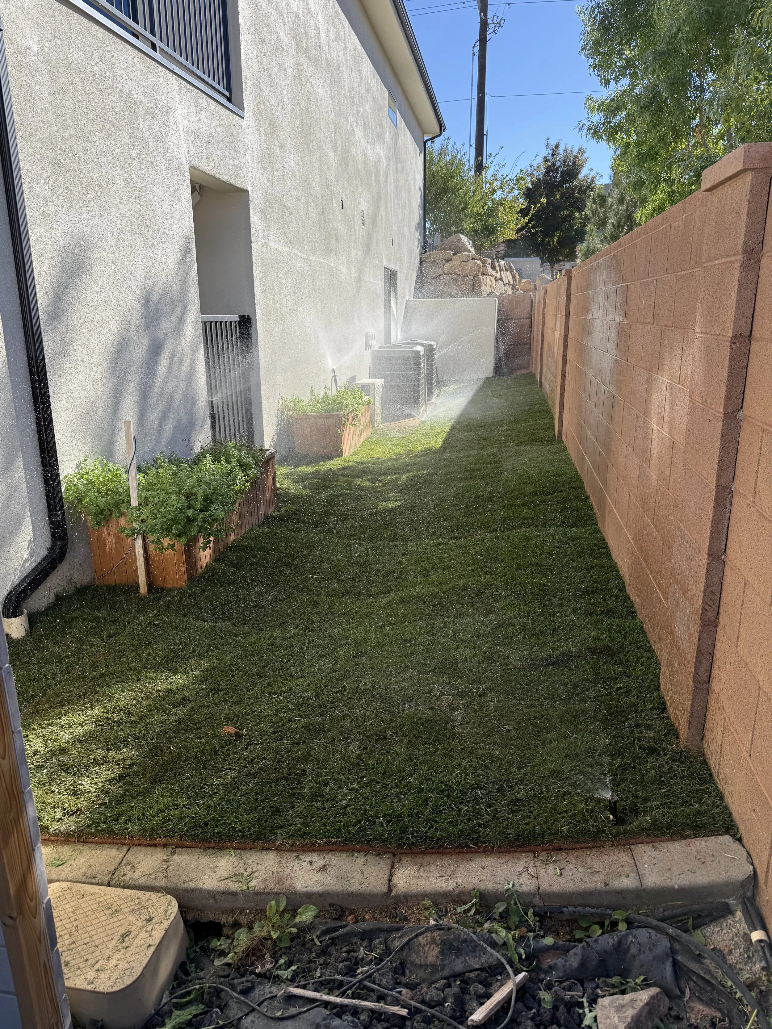 Backyard with artificial grass, a brick wall on the right, and a house wall on the left. There are some plants in wooden planters on the left, and a garden sprinkler watering the grass.
