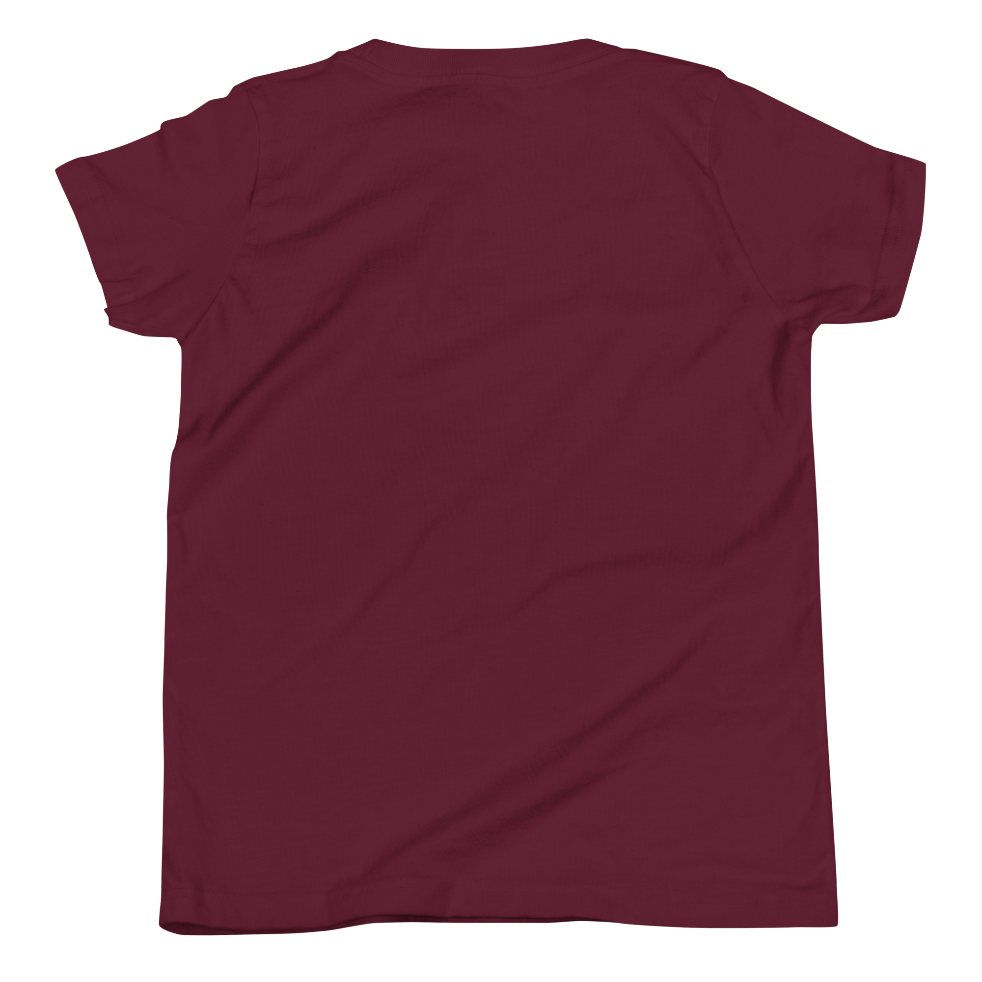 Hairy Pugger ⚡️ Youth Short Sleeve T-Shirt