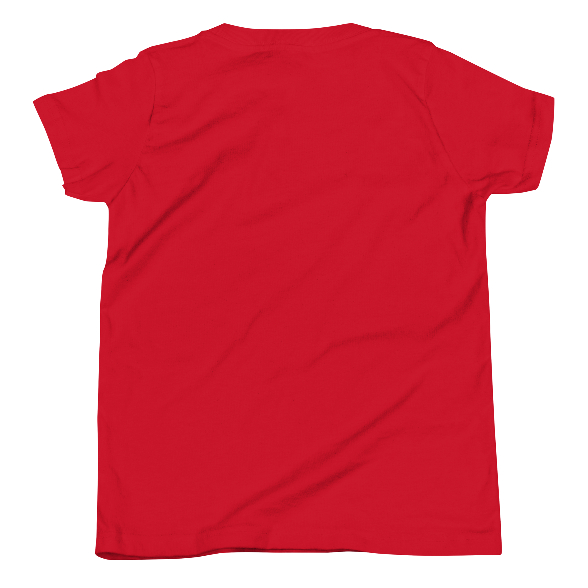 Hairy Pugger ⚡️ Youth Short Sleeve T-Shirt