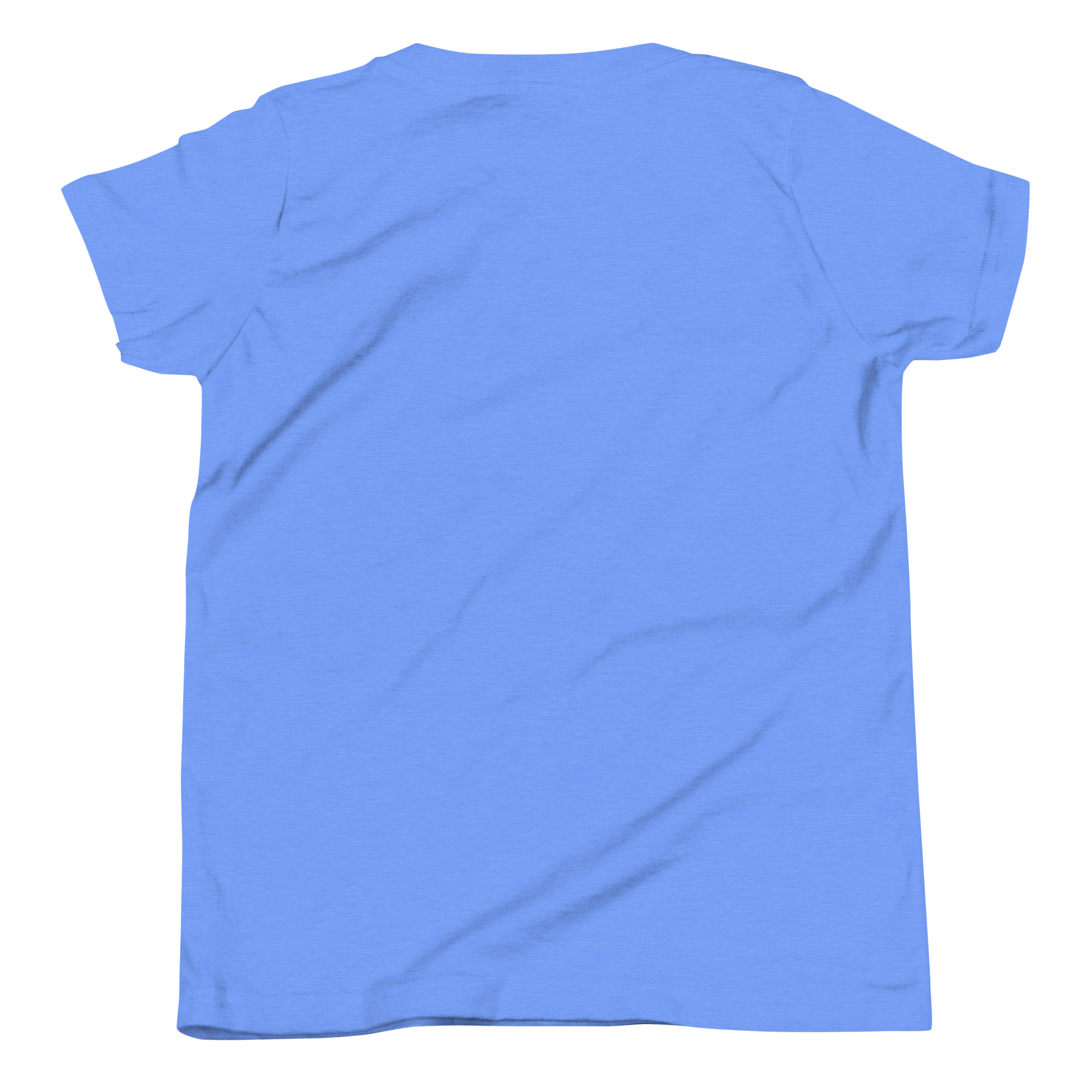 youth-staple-tee-heather-columbia-blue-back-6a60e30ddb8f5.png
