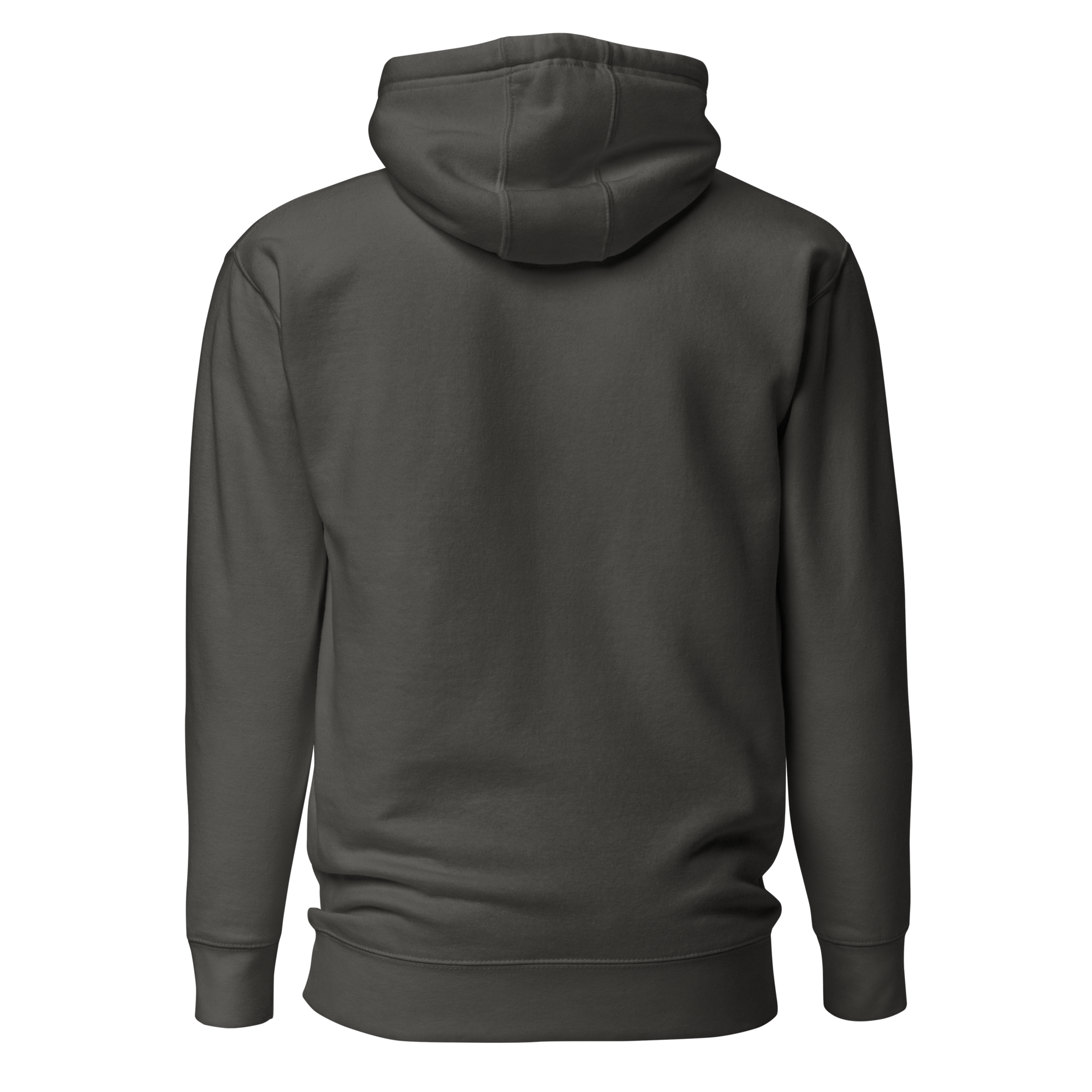 unisex-premium-pullover-hoodie-vintage-black-back-6a72791ae02fc.png