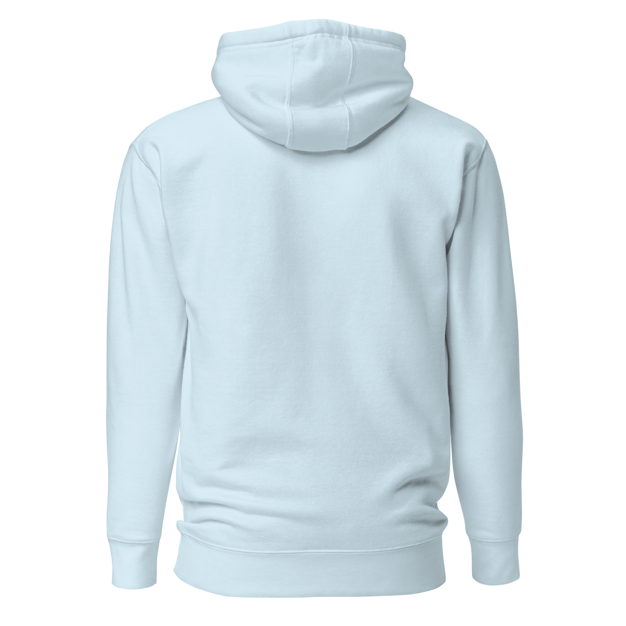 unisex-premium-pullover-hoodie-sky-blue-back-6a72791ae0219.png